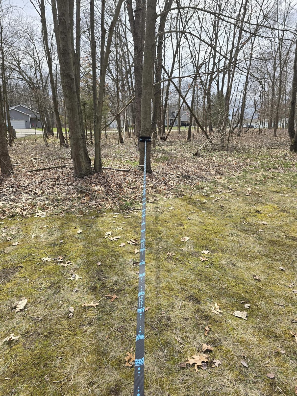 ZenMonkey Infinity Slackline Kit - 100 Foot Longline Slackline with Ergo Ratchet, Tree Protectors, Cloth Carry Bag and Instructions - Easy Setup for The Family, Kids and Adults customer photo 1