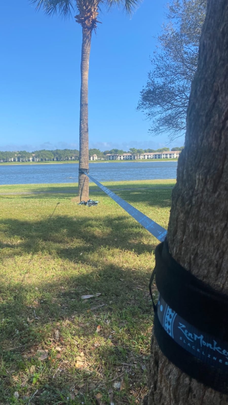 ZenMonkey Infinity Slackline Kit - 100 Foot Longline Slackline with Ergo Ratchet, Tree Protectors, Cloth Carry Bag and Instructions - Easy Setup for The Family, Kids and Adults customer photo 2