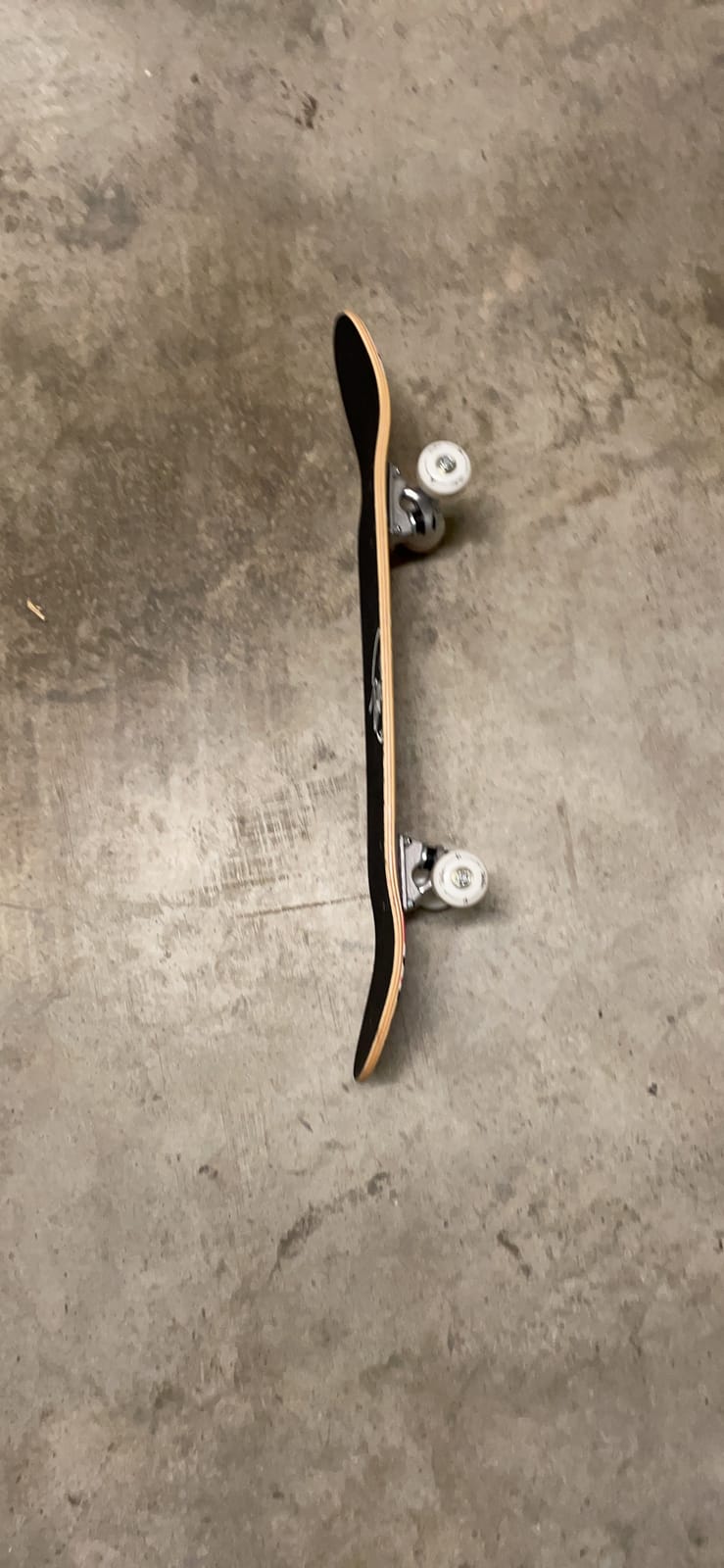 BELEEV Skateboards for Beginners, 31 x 8 inch Complete Skateboard for Kids Teens Adults, 7 Layer Canadian Maple Double Kick Deck Concave Cruiser Trick Skateboard with Multifunction Skate T-Tool customer photo 2