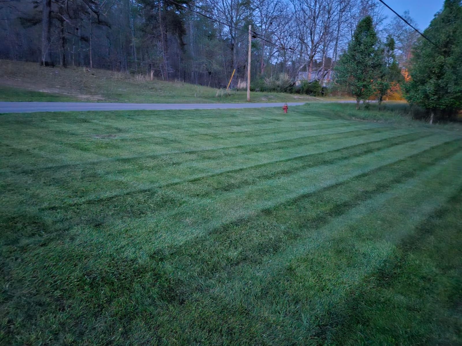 John Deere Tractor Grass Groomer Lawn Striping Kit - LP1001 customer photo 2