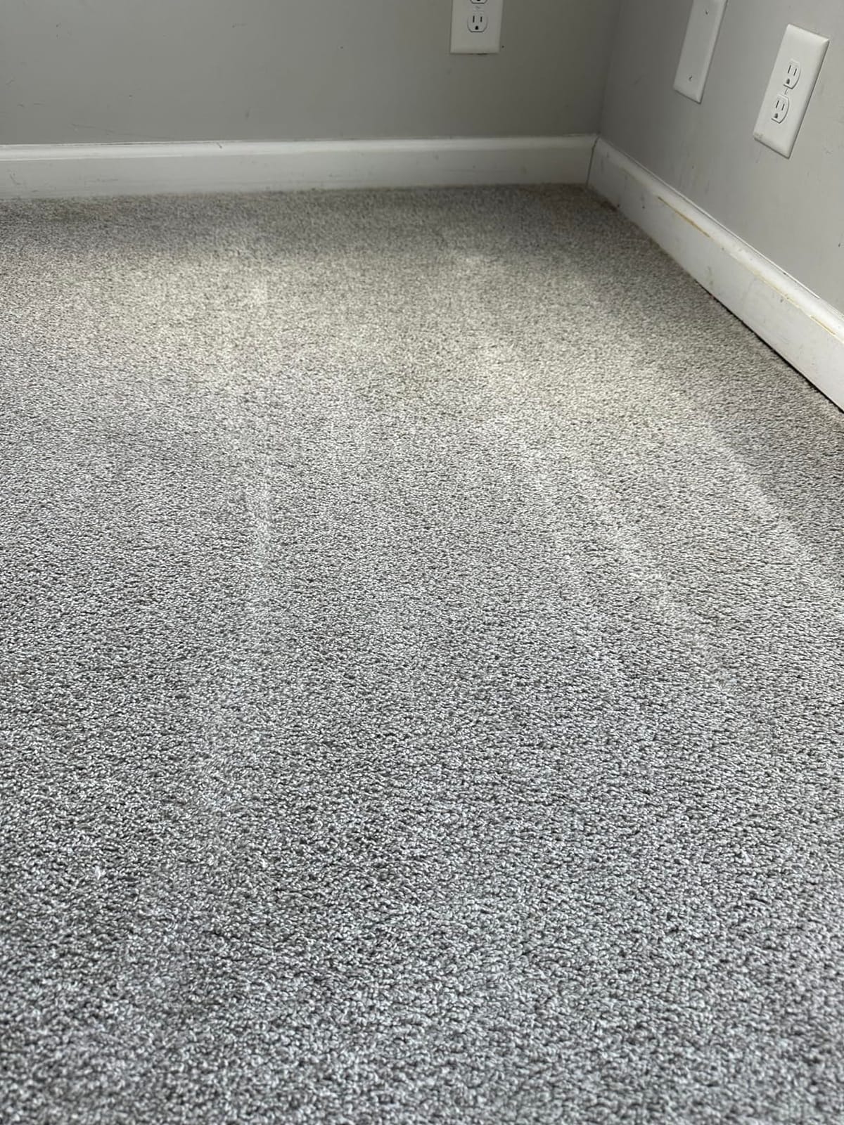 Rug Doctor Mighty Pro X3 Commercial Carpet Cleaner with Oxy Cleaner Pack | Includes 48 oz Oxy Carpet Cleaning Solution Removes Wine, Mud, Vomit and other Tough Stains customer photo 1