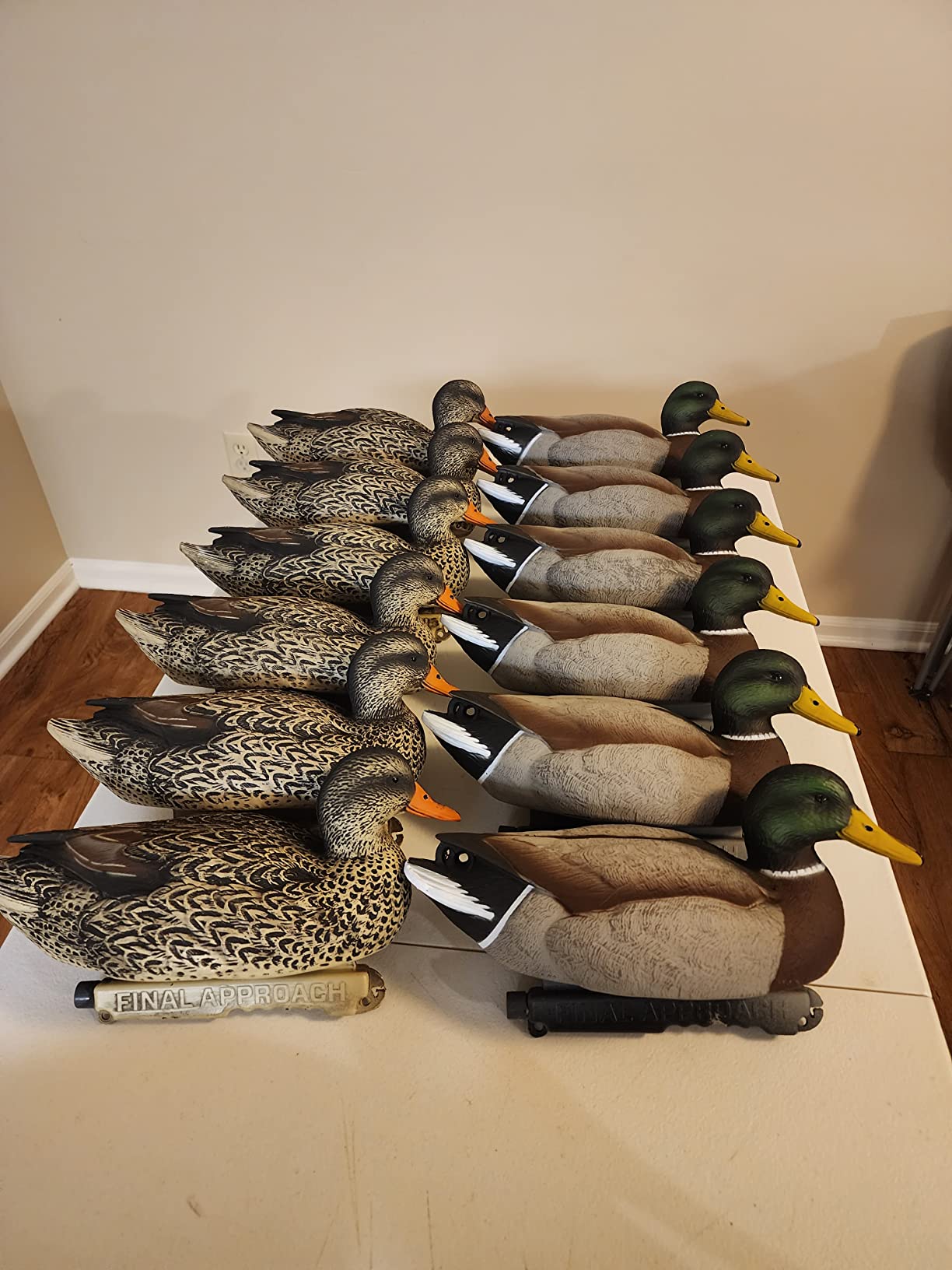 Final Approach Last Pass Mallard Floaters, Decoy 12 Pack customer photo 1