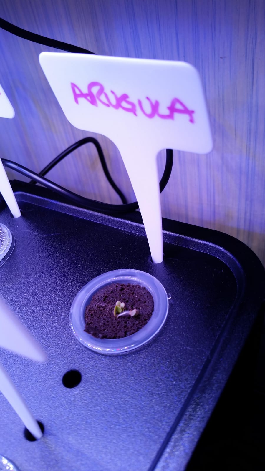 iDOO 12Pods Hydroponics Growing System Garden with LED Grow Light customer photo 1