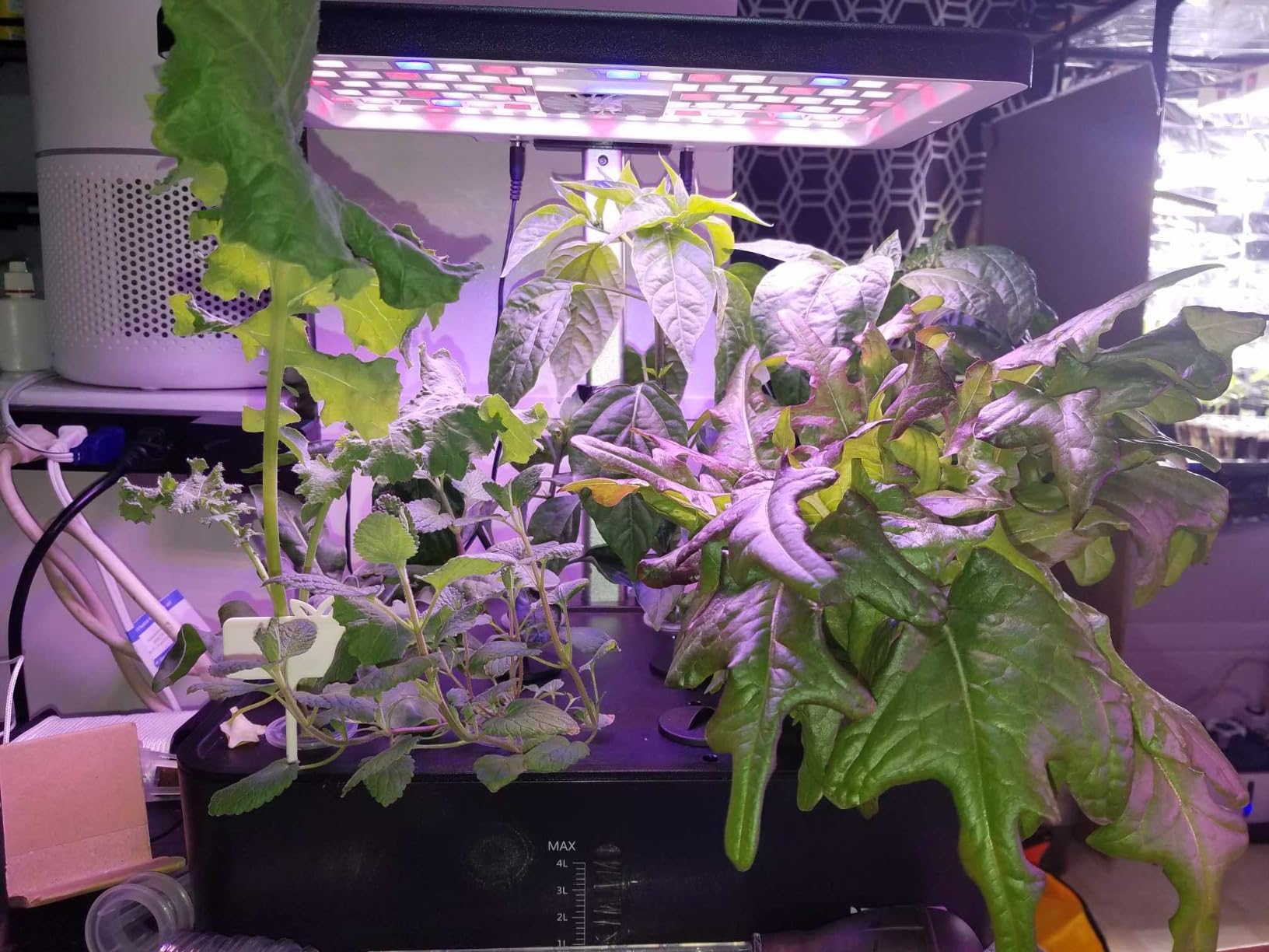 iDOO 12Pods Hydroponics Growing System Garden with LED Grow Light customer photo 2