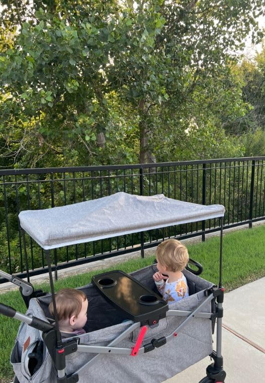 EVER ADVANCED Foldable Wagons for Two Kids & Cargo, Collapsible Folding Stroller with Adjustable Handle Bar, Removable Canopy with 5-Point Harness Gray customer photo 1