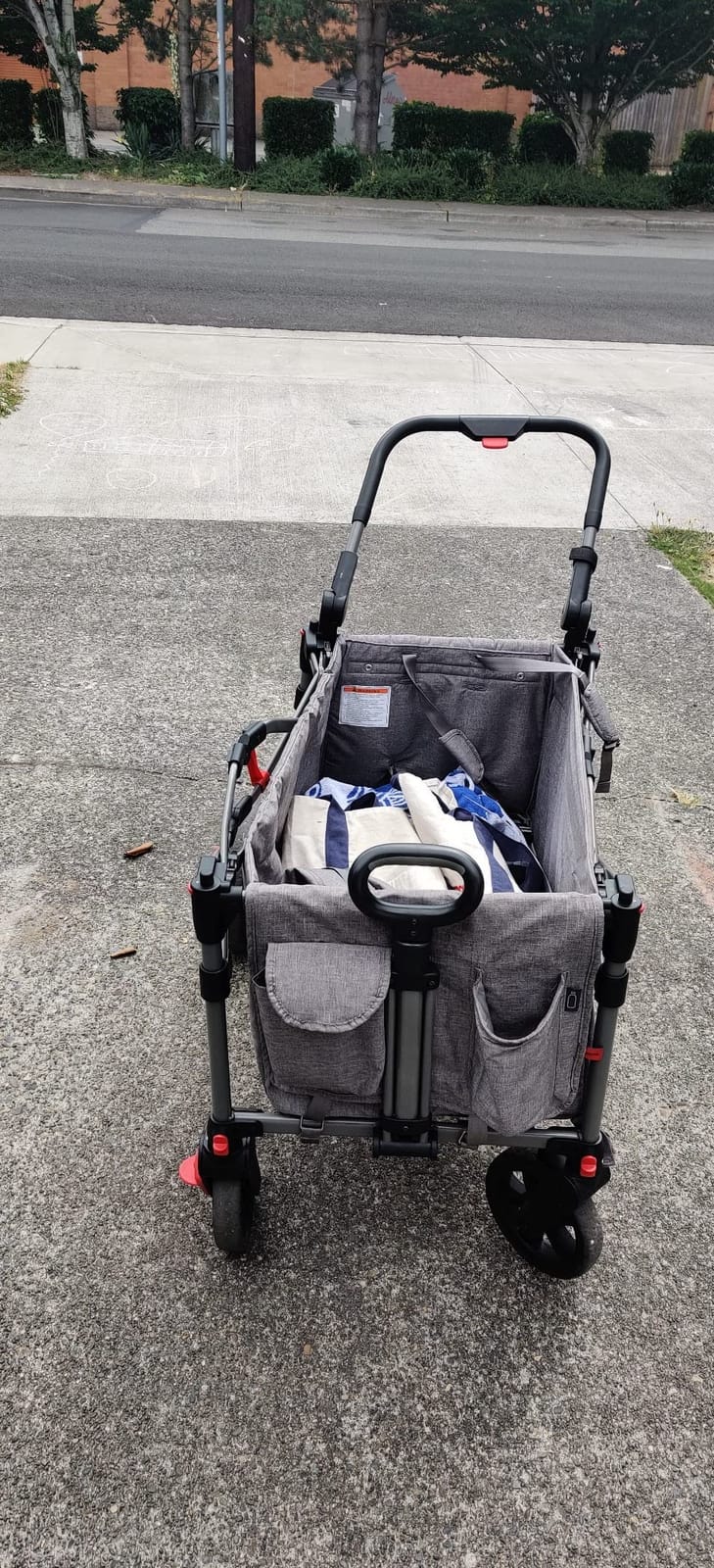 EVER ADVANCED Foldable Wagons for Two Kids & Cargo, Collapsible Folding Stroller with Adjustable Handle Bar, Removable Canopy with 5-Point Harness Gray customer photo 2