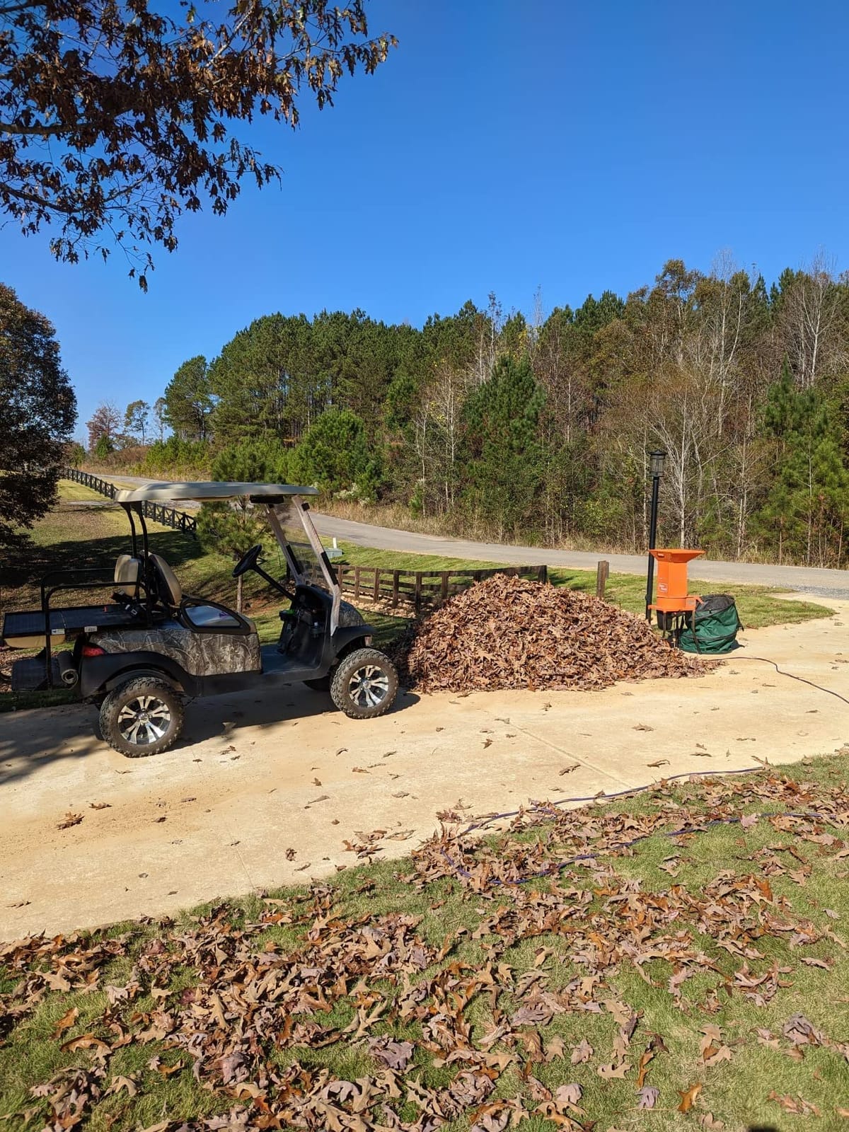SuperHandy Electric Leaf Mulcher Shredder, Yard Waste, Leaf Shredder | Electric leaf shredder for leaves, grass and yard waste; high reduction ratio supports compost prep and cleaner cleanup customer photo 2