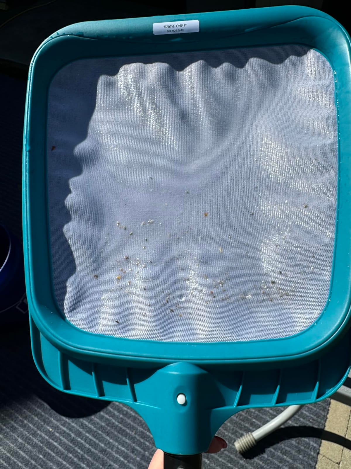 POOLWHALE Pool Leaf Skimmer, Pool Surface Cleaning Net (Pole Not Included) | Pool Flat Net, Swimming Cleaning Tools, Plastic Frame Nylon Debris Nets for Ponds, Spas, Inground & Above Ground Pools customer photo 2