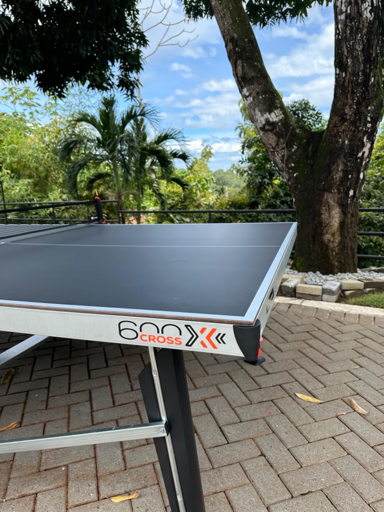 CORNILLEAU 600X Outdoor Table Tennis Table - Folding & Compact - Weather and Schockproof - 7mm Laminate Top - Cup Holder - Point Counters - Ball Storage & Dispensers - Blue or Black customer photo 2