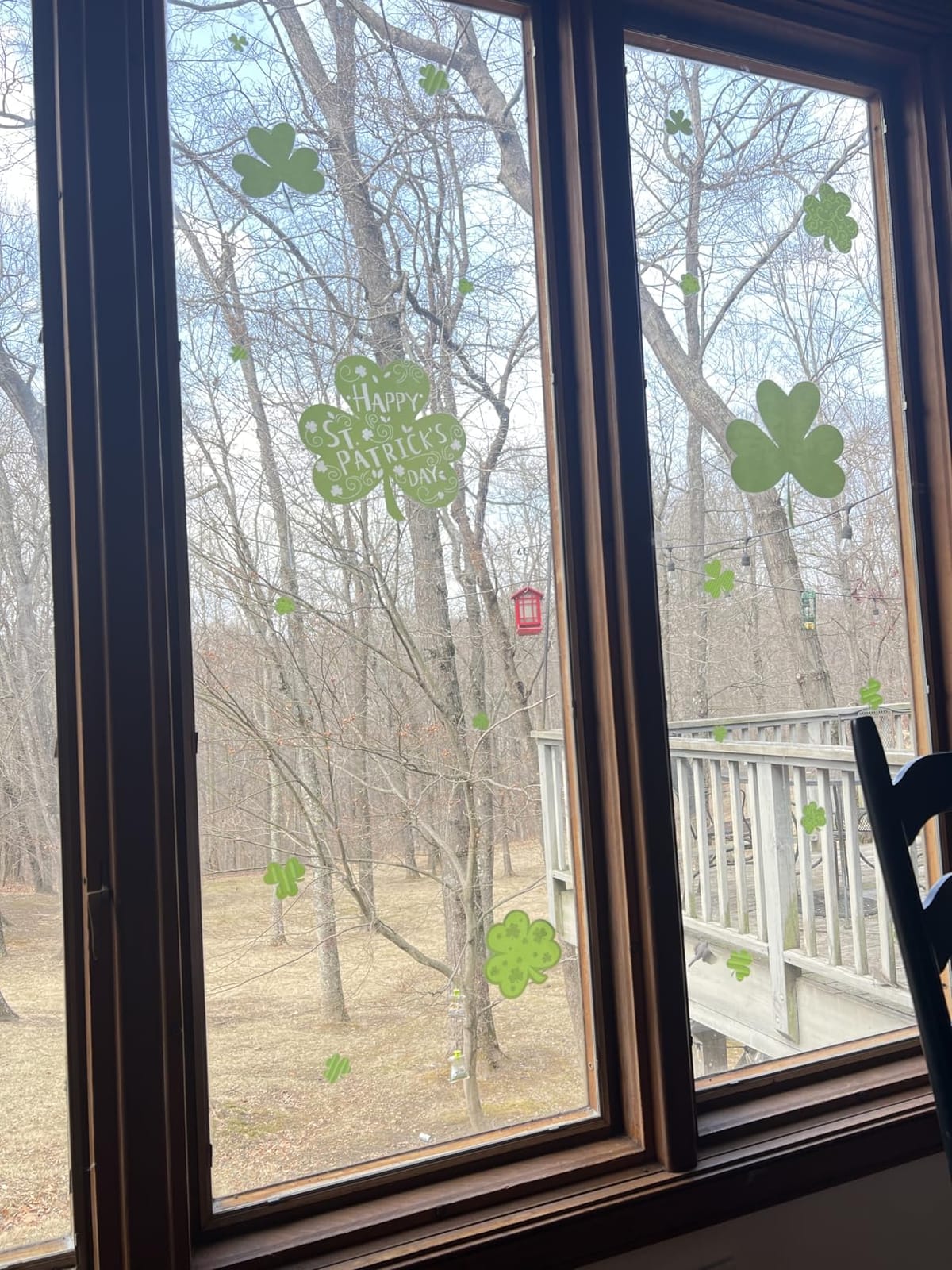 St Patricks Day Window Clings, 109 Pcs Shamrock Window Stickers for St Patricks Day Decorations customer photo 1