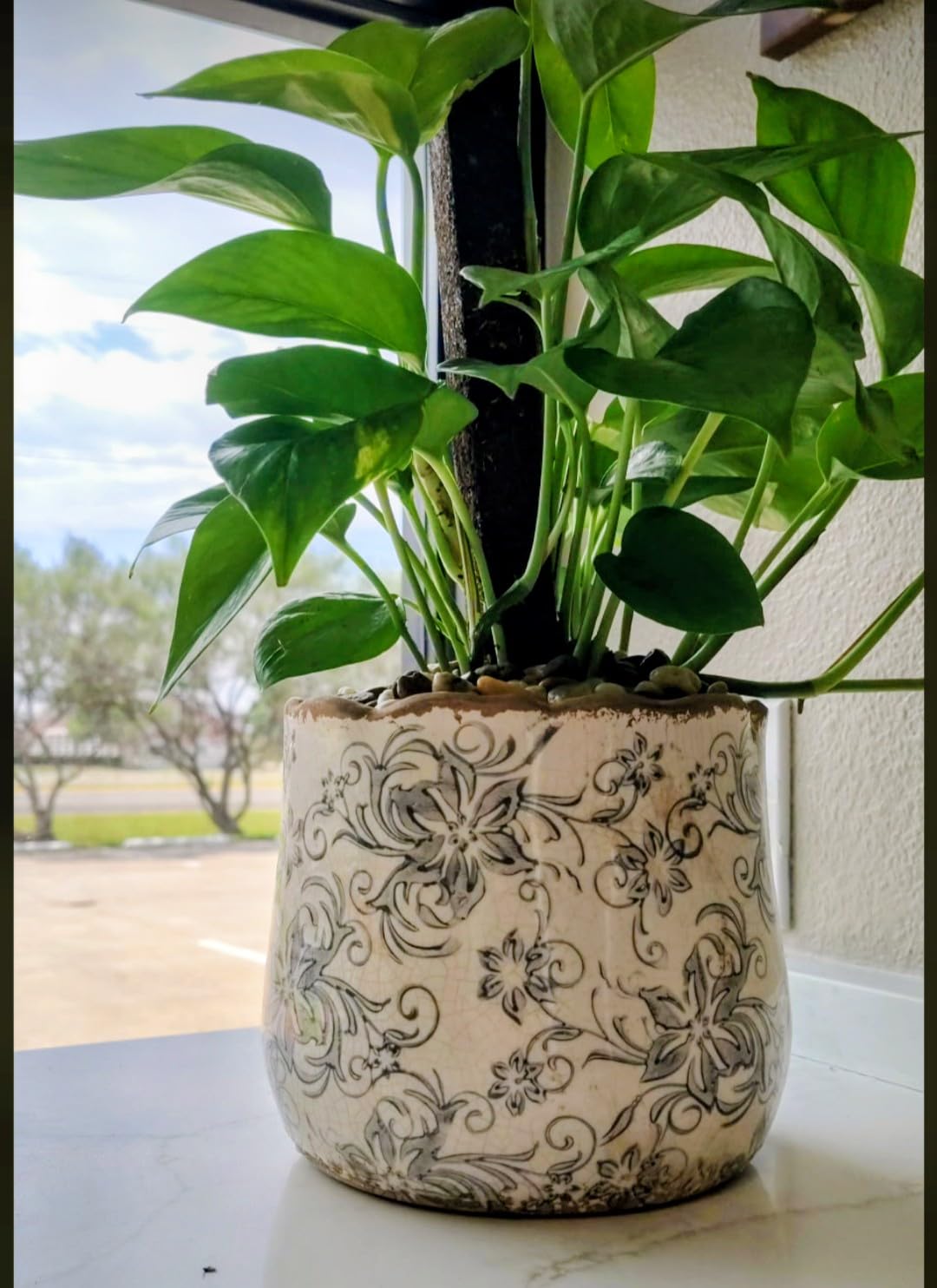 Nearly Natural 7 in Tuscan Ceramic Gray Scroll Decorative Planter | Artisanal Style, Quality Ceramic, Indoor Home, Shelf, and Table Decor customer photo 1