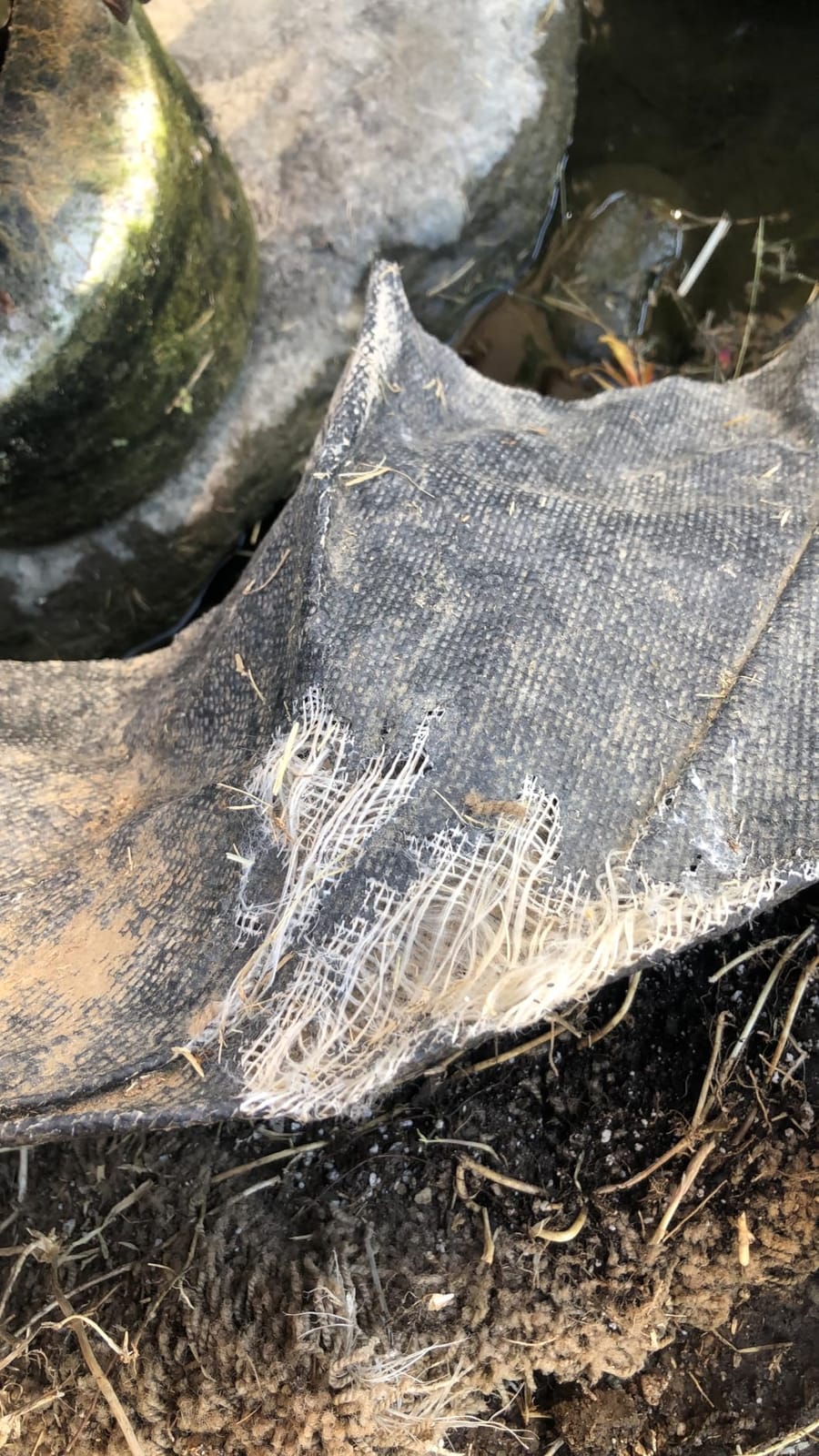 hygger Pond Liner - 7 by 10ft Fish Pond Liners for Outdoor Ponds, 14.5 Mil PVC Soft Pond Liner for Fish Ponds, Water Features, Garden Water Fountains, Waterfalls customer photo 1