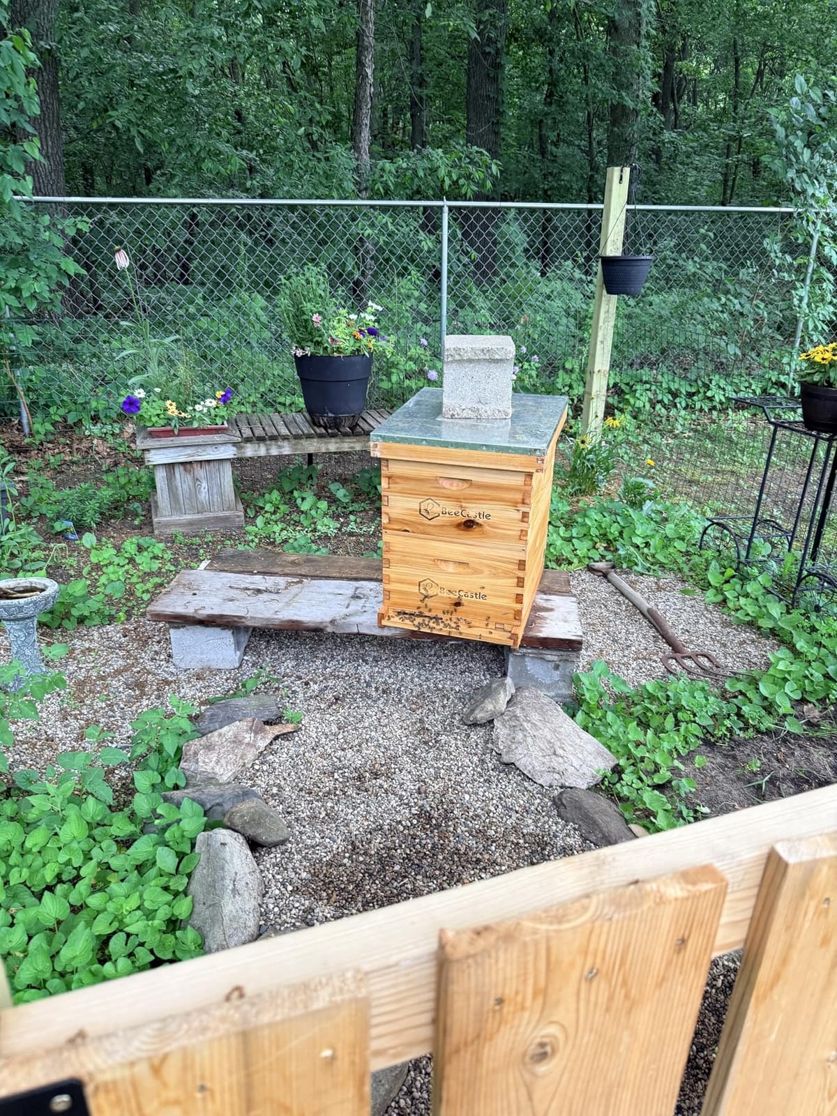 BeeCastle 10 Frame Langstroth Bee Hive Coated with Beeswax Includes Beehive Frames and Waxed Foundations (2 Deep Boxes & 1 Medium Box) customer photo 2