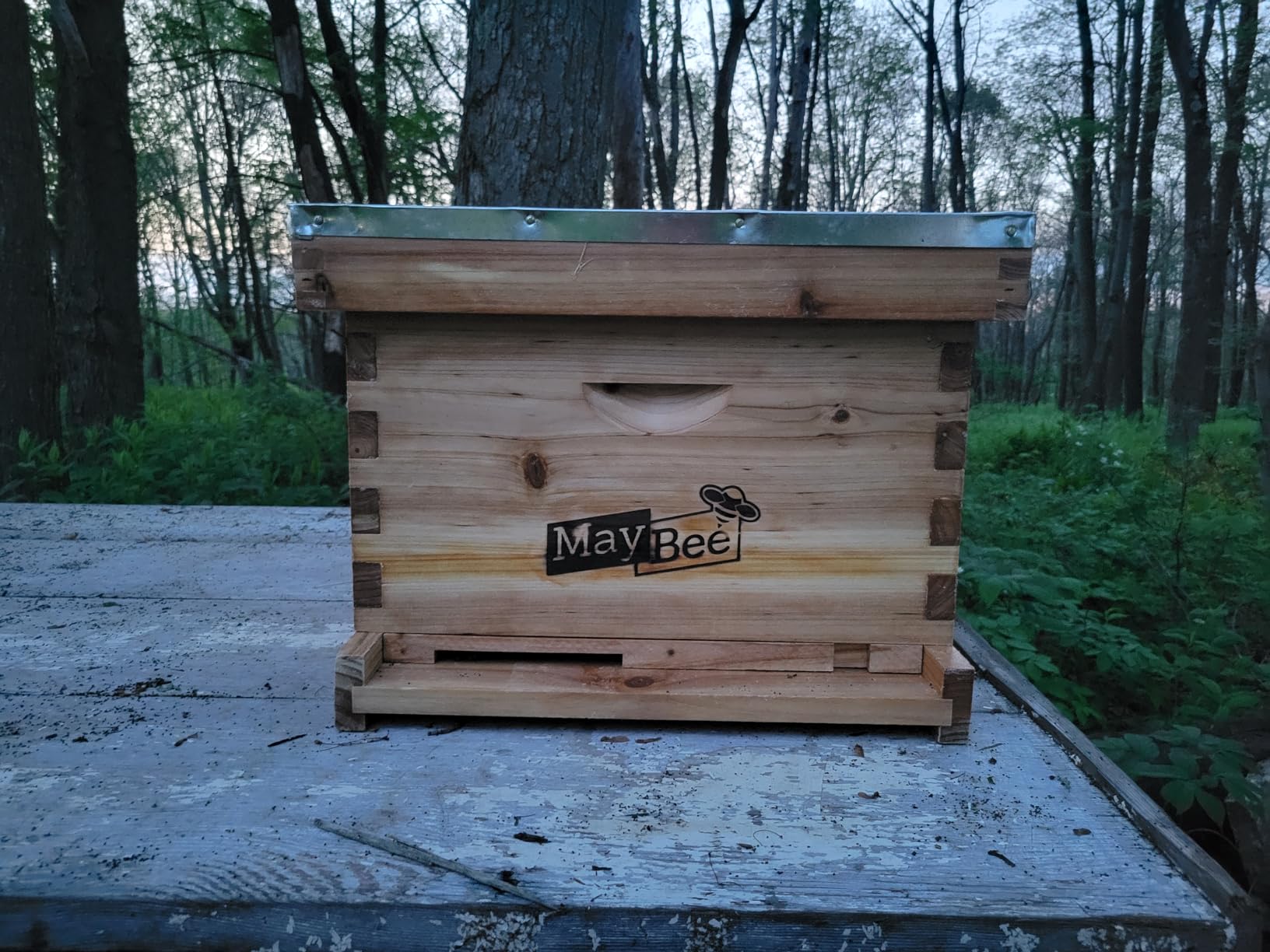 10-Frame Langstroth Beehive Dipped in Beeswax, Complete Bee Hives and Supplies Starter Kit Includes 2 Deep Hive Bee Boxes and 1 Bee Hive Super with Beehive Frames and Foundations customer photo 1