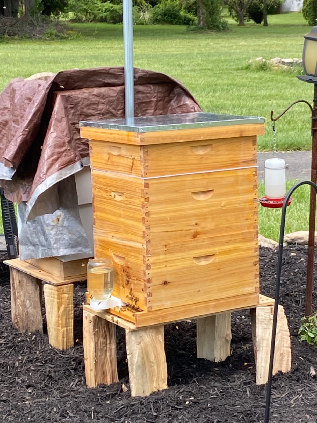 10-Frame Langstroth Beehive Dipped in Beeswax, Complete Bee Hives and Supplies Starter Kit Includes 2 Deep Hive Bee Boxes and 1 Bee Hive Super with Beehive Frames and Foundations customer photo 2