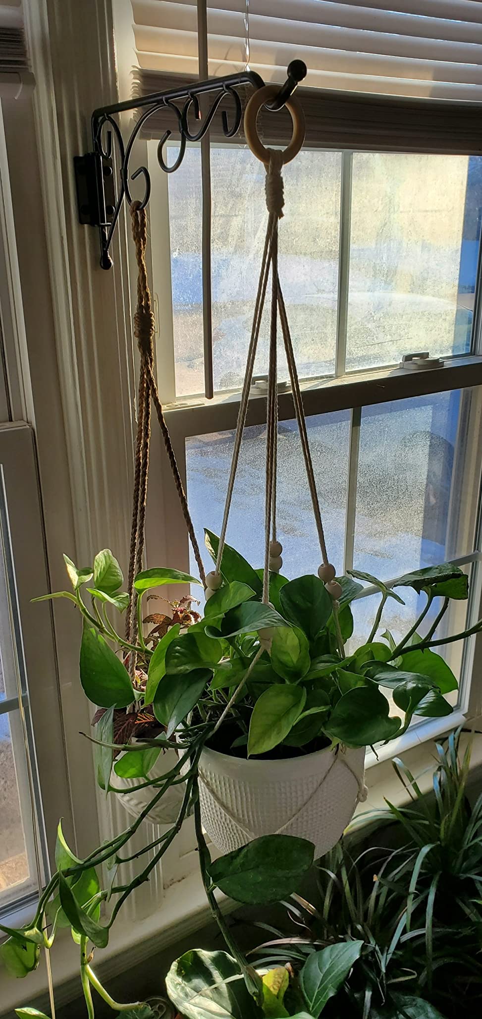 MIGO Creates Macrame Kits for Adults Beginners with 126 Macrame Supplies and 7 Projects E-Book: DIY Macrame Kit with 165 Yards Macrame Cord and Craft Supplies & Materials to Start Macrame! customer photo 2