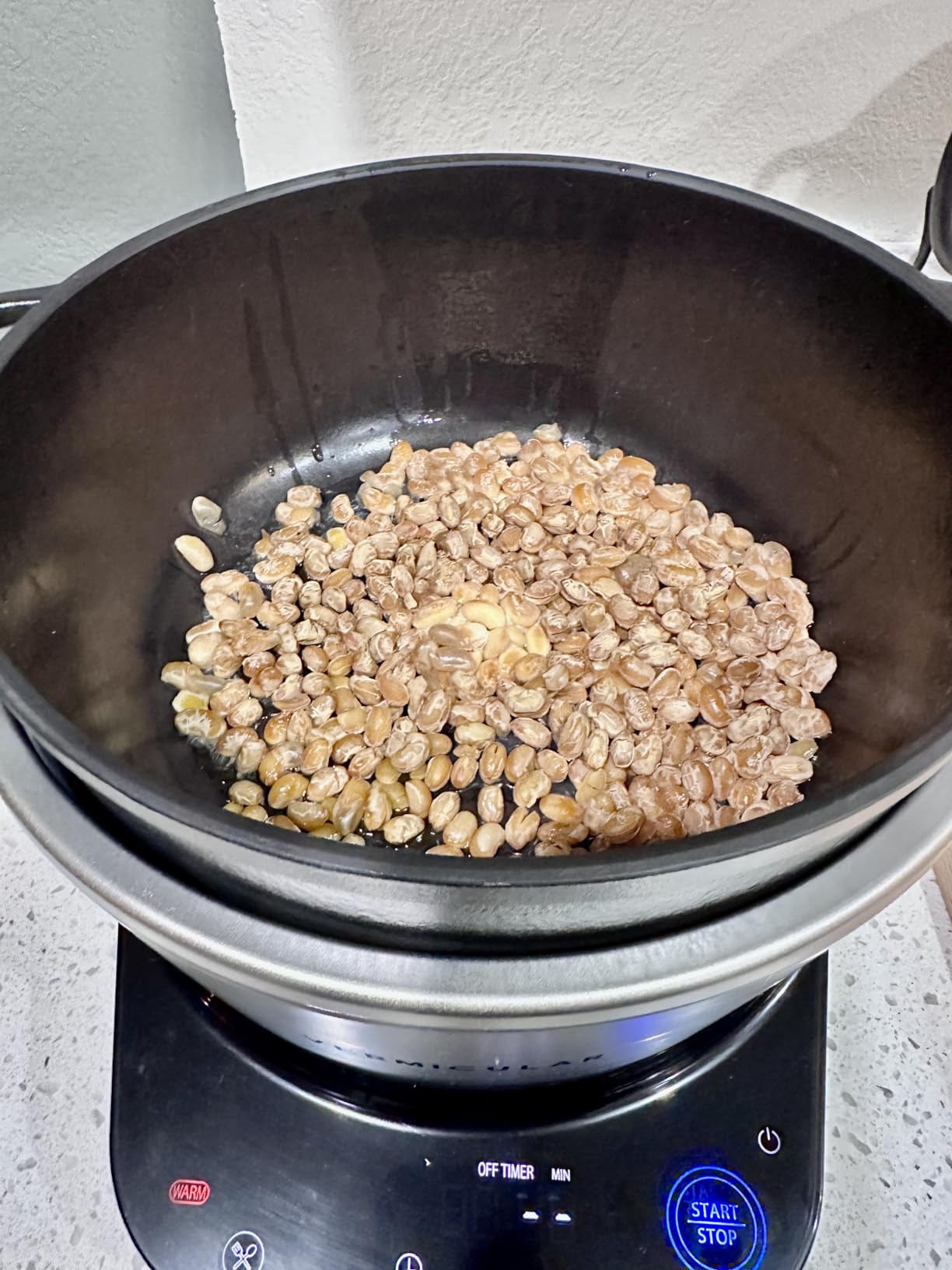 Kawashimaya Natto Starter Spores Powder 0.1oz (3g) for 22-66lbs Natto | Bacillus Subtilis from Soybean Extract to Make Homemade Natto customer photo 2