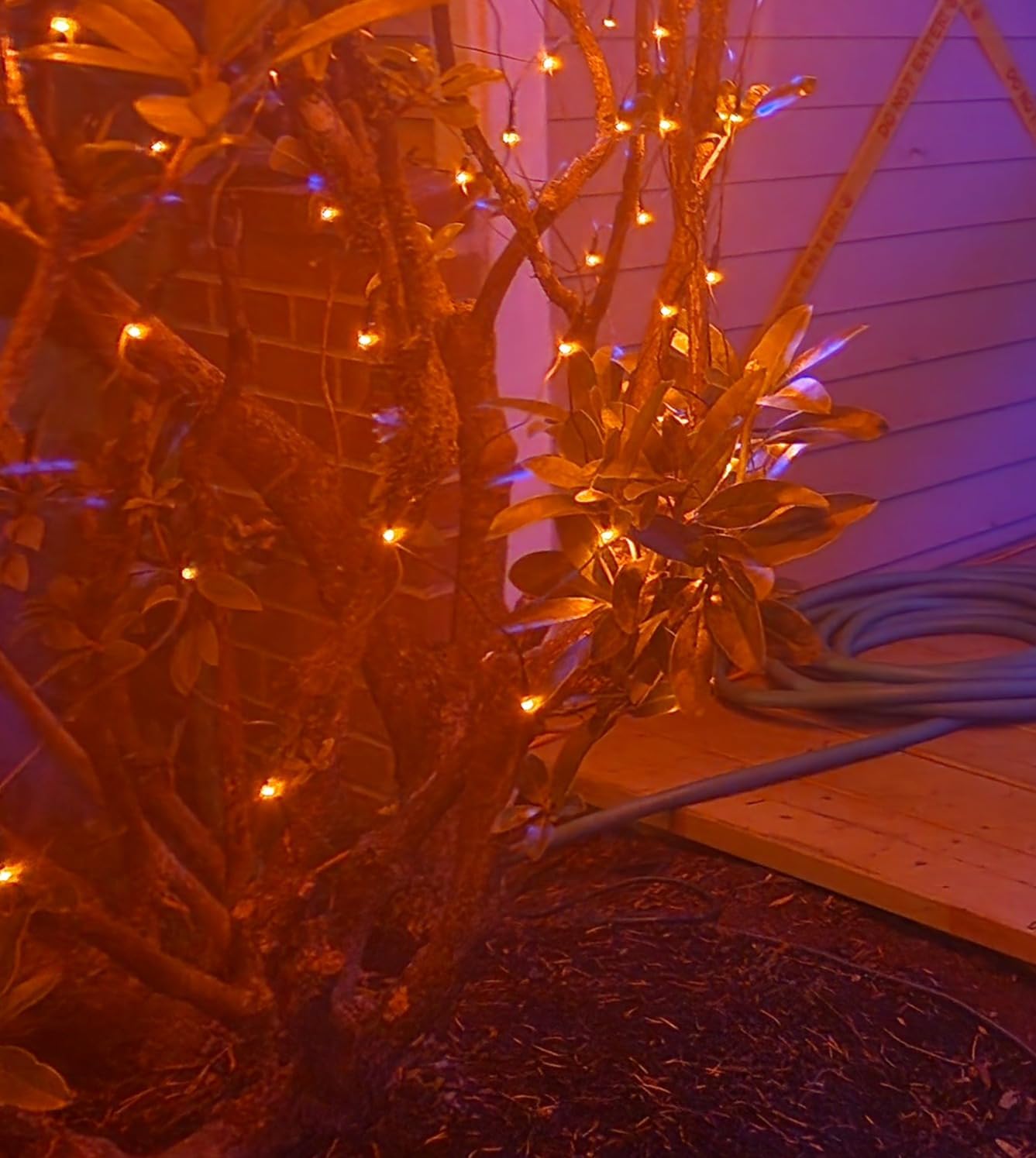 BlcTec Christmas Lights Outdoor 360 LED 9.8ft x 6.6ft Christmas Net Lights with 8 Modes, UL Certified, Timer, Connectable, Waterproof for Bushes, Shrubs, Yard Outdoor Xmas Decorations, Warm White customer photo 1
