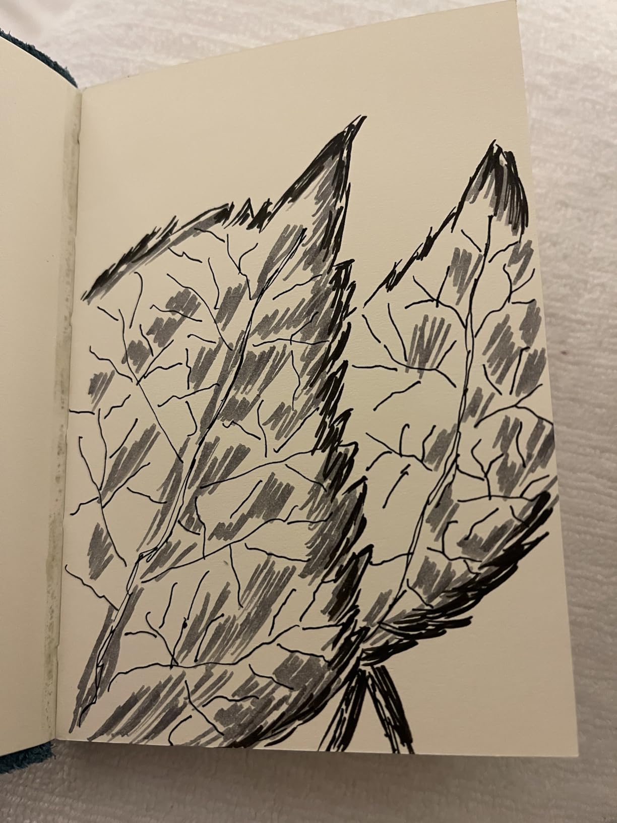 Kuretake Zig Inktober pen set, for Illustration, Manga Drawing, Lettering and Calligraphy, Professional Artist, Made in Japan (Basic No.2(5pcs.)) customer photo 1