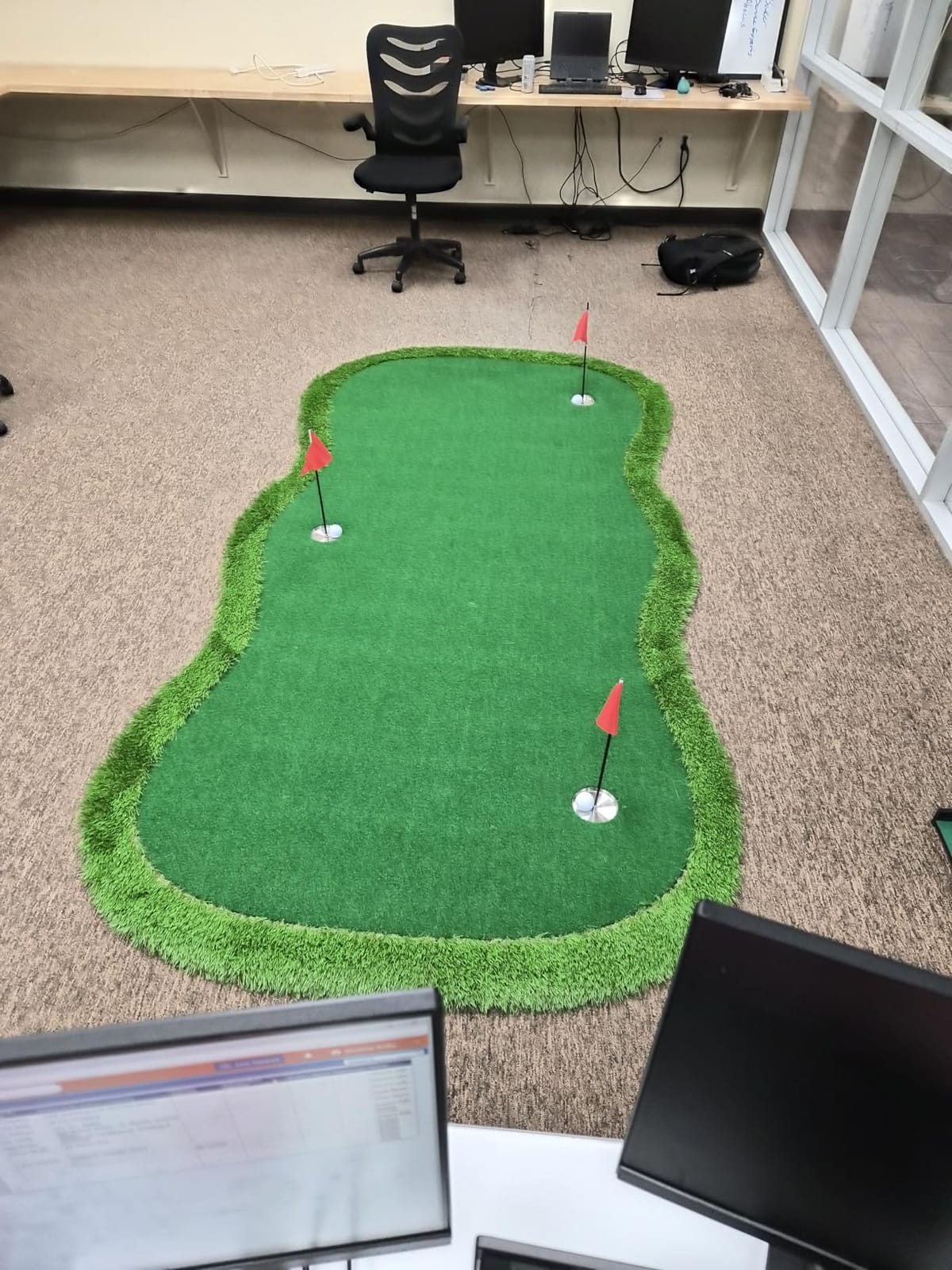 Chriiena Golf Putting Green,Large Practice Putting Mat for Indoor Outdoor | with Movable Cup, Custom Slope Pad, Professional Golfing Training Mat for Home/Backyard customer photo 2