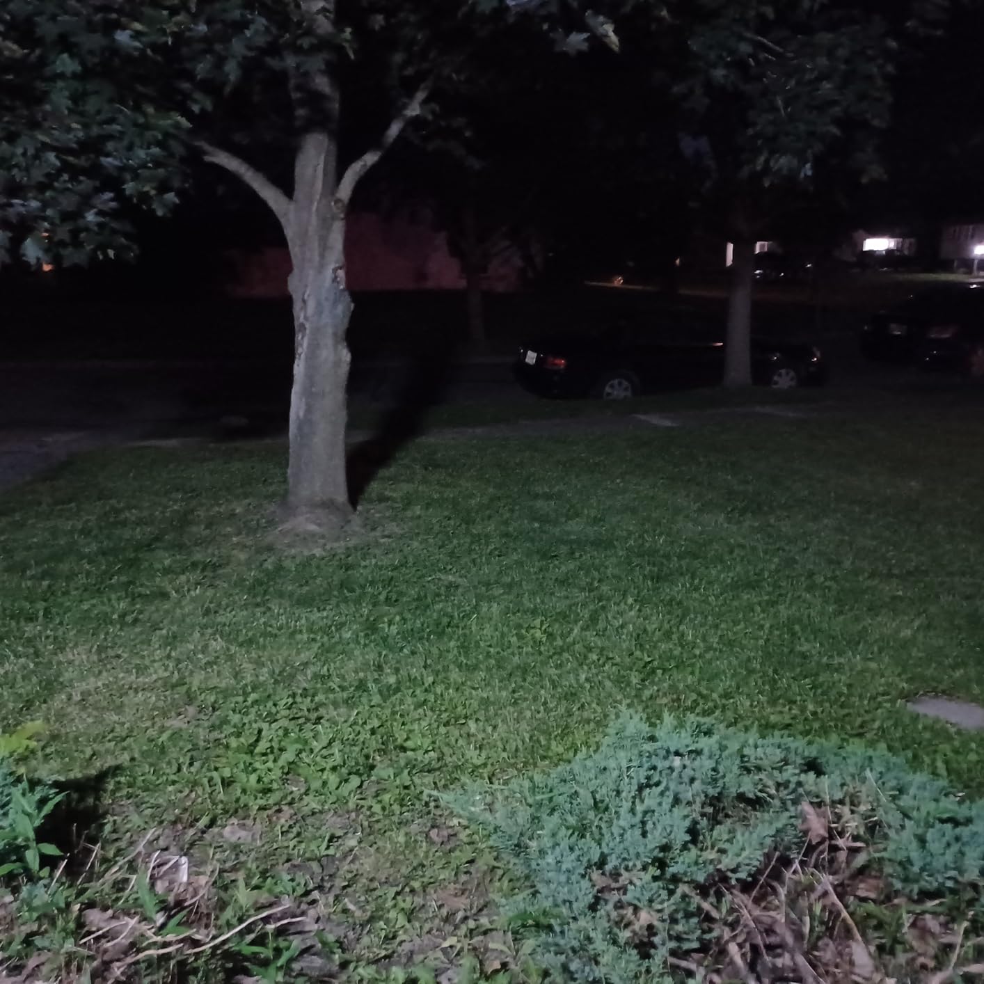 Tuffenough Solar Outdoor Lights 2500LM 210 LED Security Lights with Remote Control, 3 Heads Motion Sensor Lights, IP65 Waterproof, 270 Degree Wide Angle Flood Wall Lights with 3 Modes (2 Packs) customer photo 2