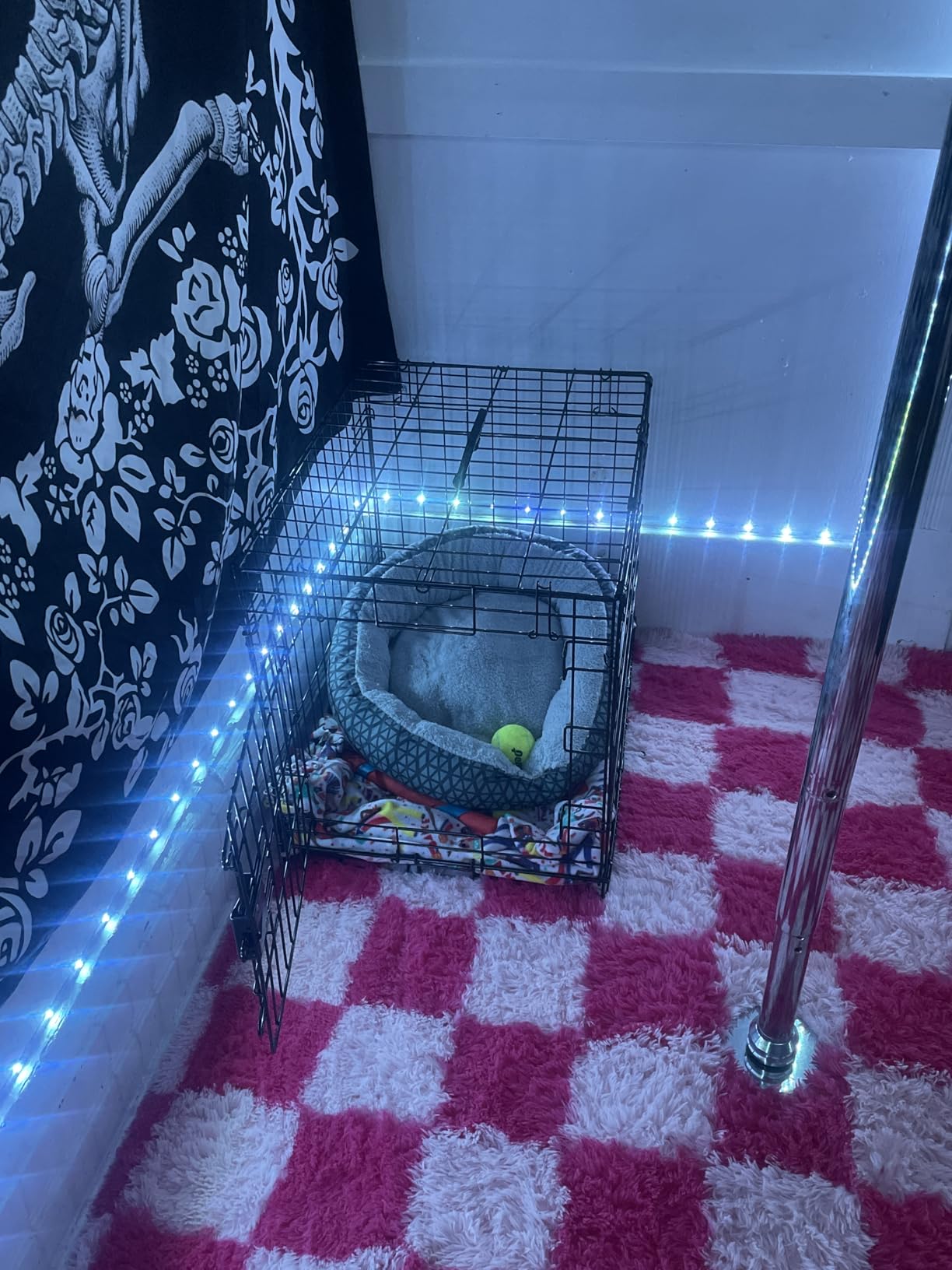 Amazon Basics Portable, Foldable Metal Wire Dog Crate with Removable Tray, Divider Panel, Easy to Assemble, for Large Dogs, 48 x 30 x 32.5 in, Black customer photo 1