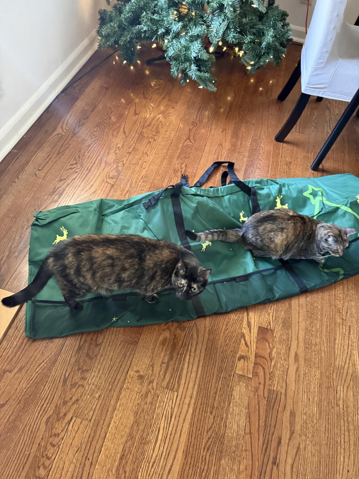 Christmas Tree Storage Bag 10 Ft Artificial Tree 600D Oxford Storage Bag - Waterproof Christmas tree storage bag (68x20x30in) Dual smooth zippers, reinforced handles & label pocket dust/moisture-proof customer photo 2