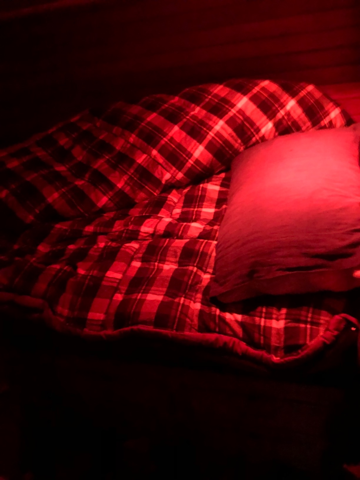 ALPS OutdoorZ Sleeping-Bags Redwood -25 customer photo 2