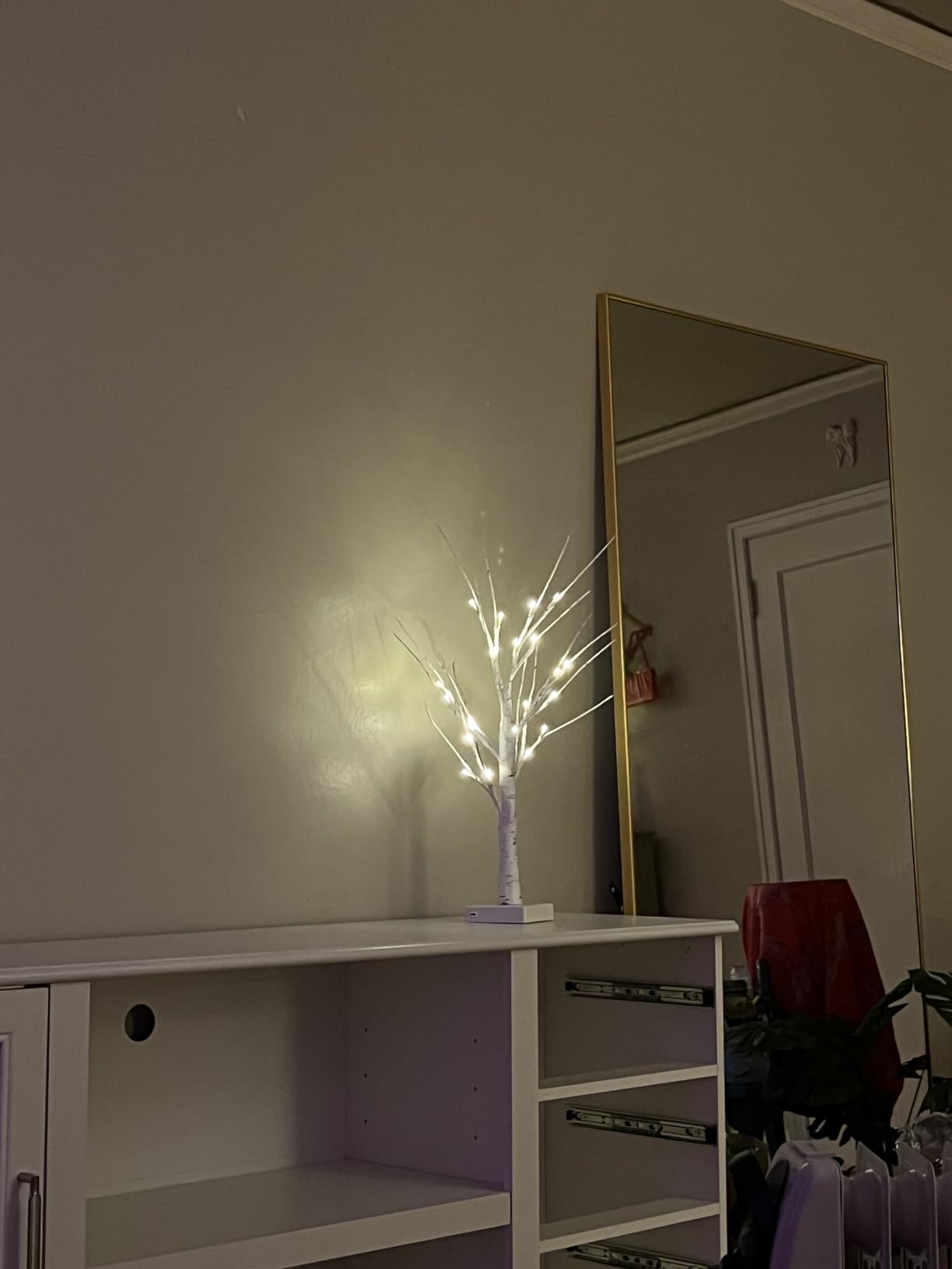 EAMBRITE Home Decorations Light Up White Birch Tree Indoor Christmas Decor, 4 Pack Battery Operated/USB Lighted Tabletop Birch Tree Lamp customer photo 2