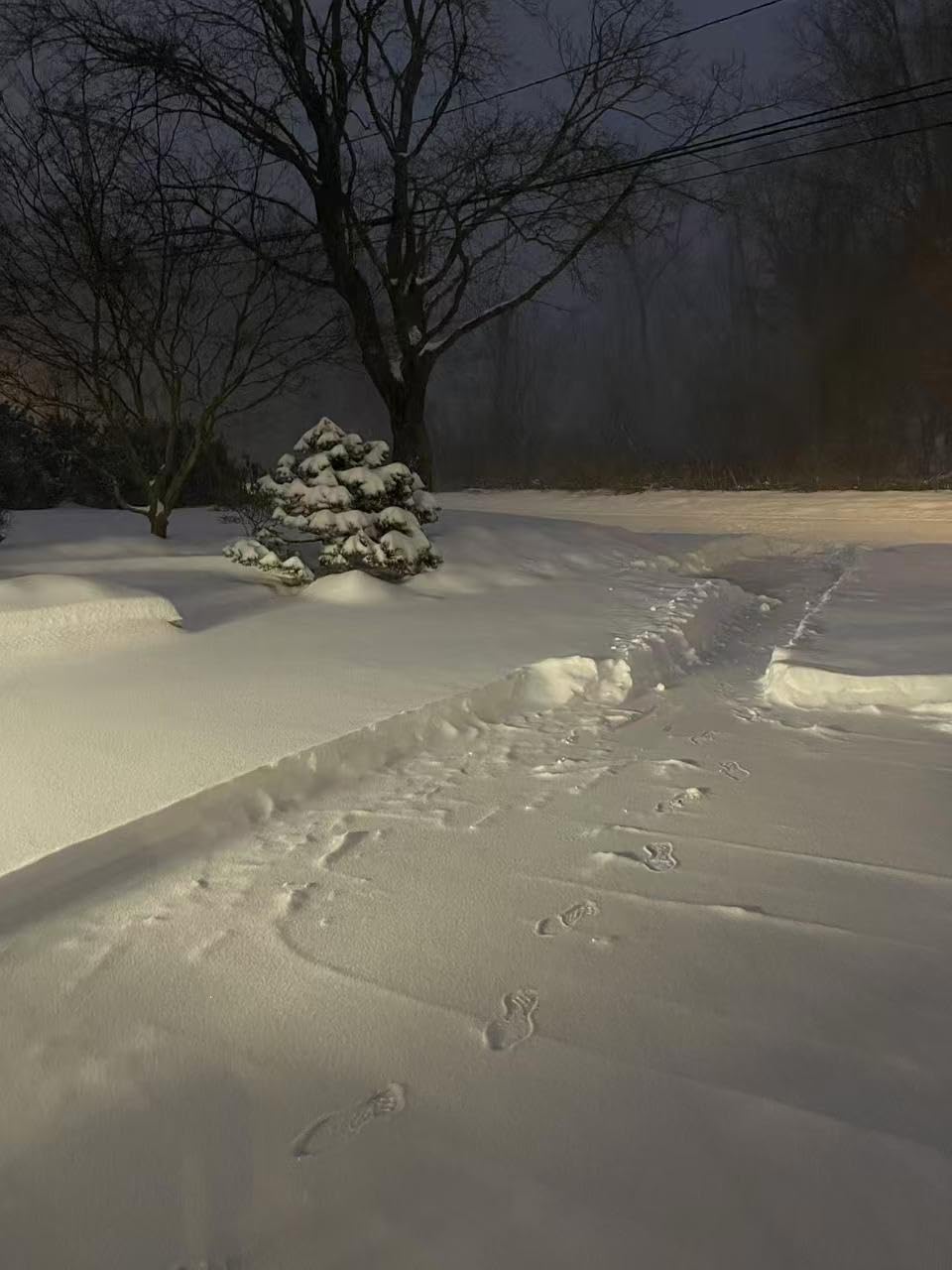 Snow Joe 24V Cordless Snow Shovel Kit with Cover and Scraper, 24V-SS13-TV1 | 13 Clearing Path, 400W Motor, Heavy-Duty Snow & Ice Removal for Driveway & Walkway customer photo 1