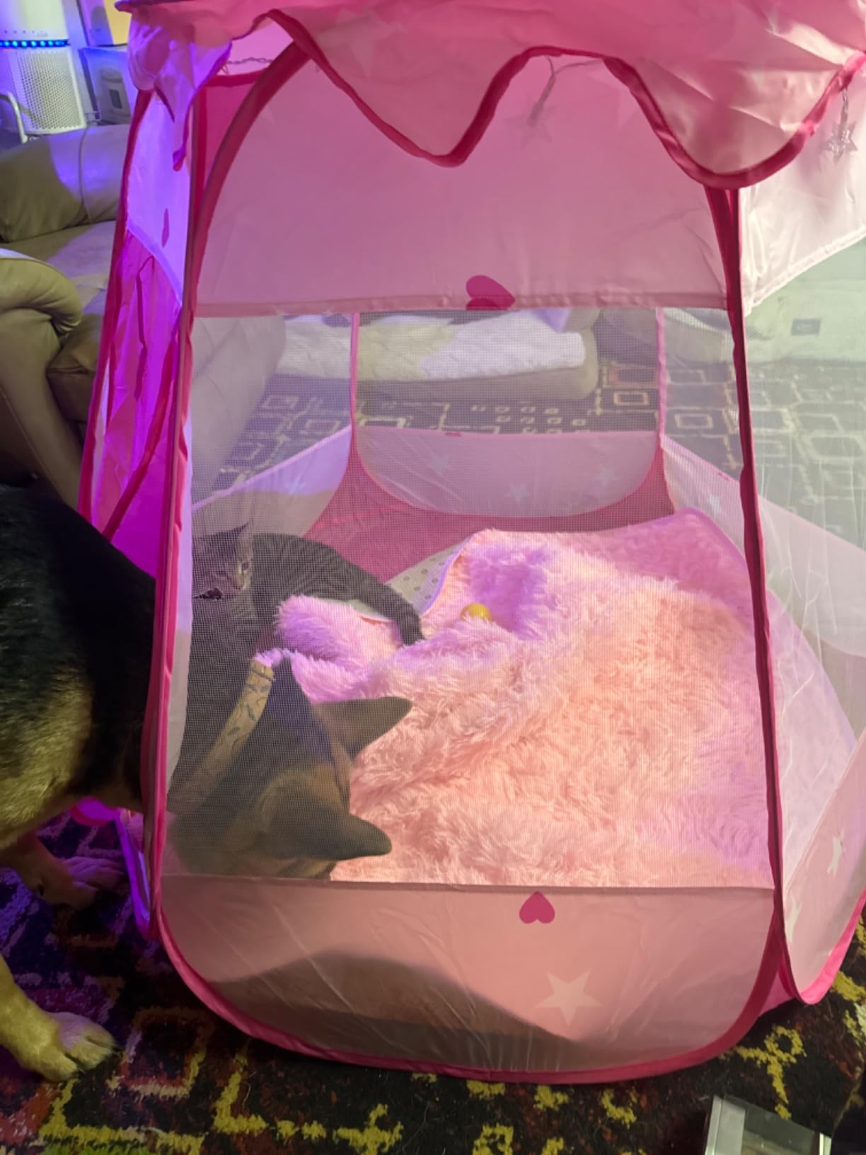 DISHIO Ball Pits with 50 Balls, Pop up Tents for Kids with Star Lights | Ball Pit for Toddlers, Princess Tent Toy for yrs Baby Birthday Gifts for Girls, Easy to Assemble Storage (50 Balls Included) customer photo 1