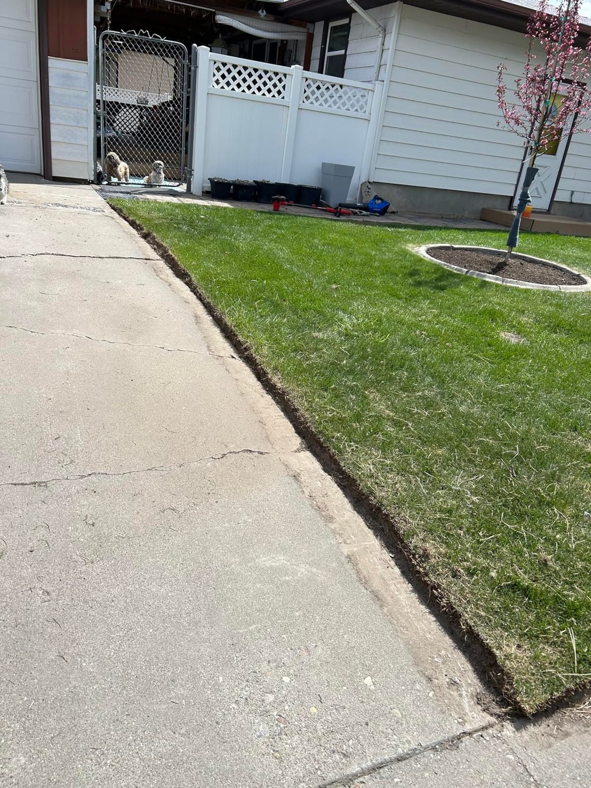 CRAFTSMAN Cordless Edger Lawn Tool, 20V MAX Battery, Charger and Blade Included, Lightweight Lawn Edger, 7.5 in Cutting Width, 1000 Ft of Edging per Charge (CMCED400D1) customer photo 1