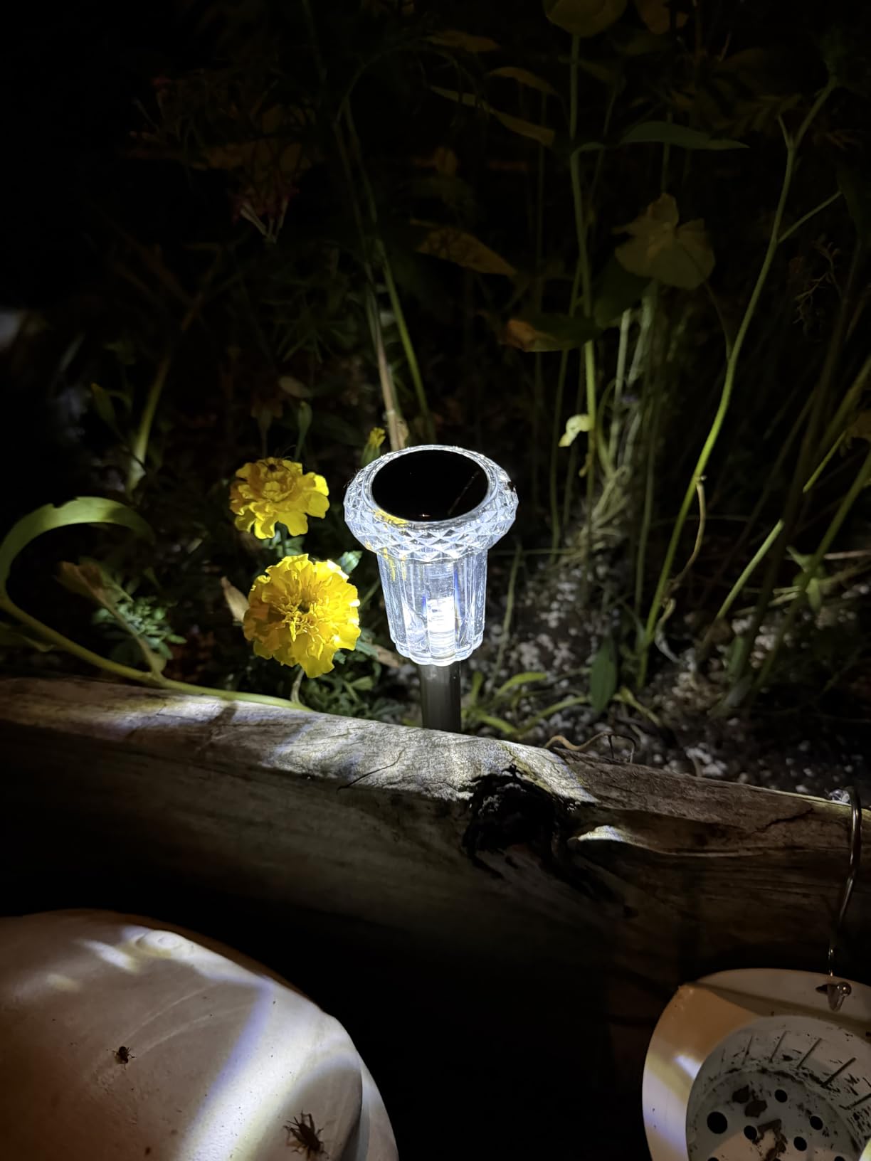 DenicMic Solar Lights Outdoor Waterproof 10 Pack Pathway Lights customer photo 1