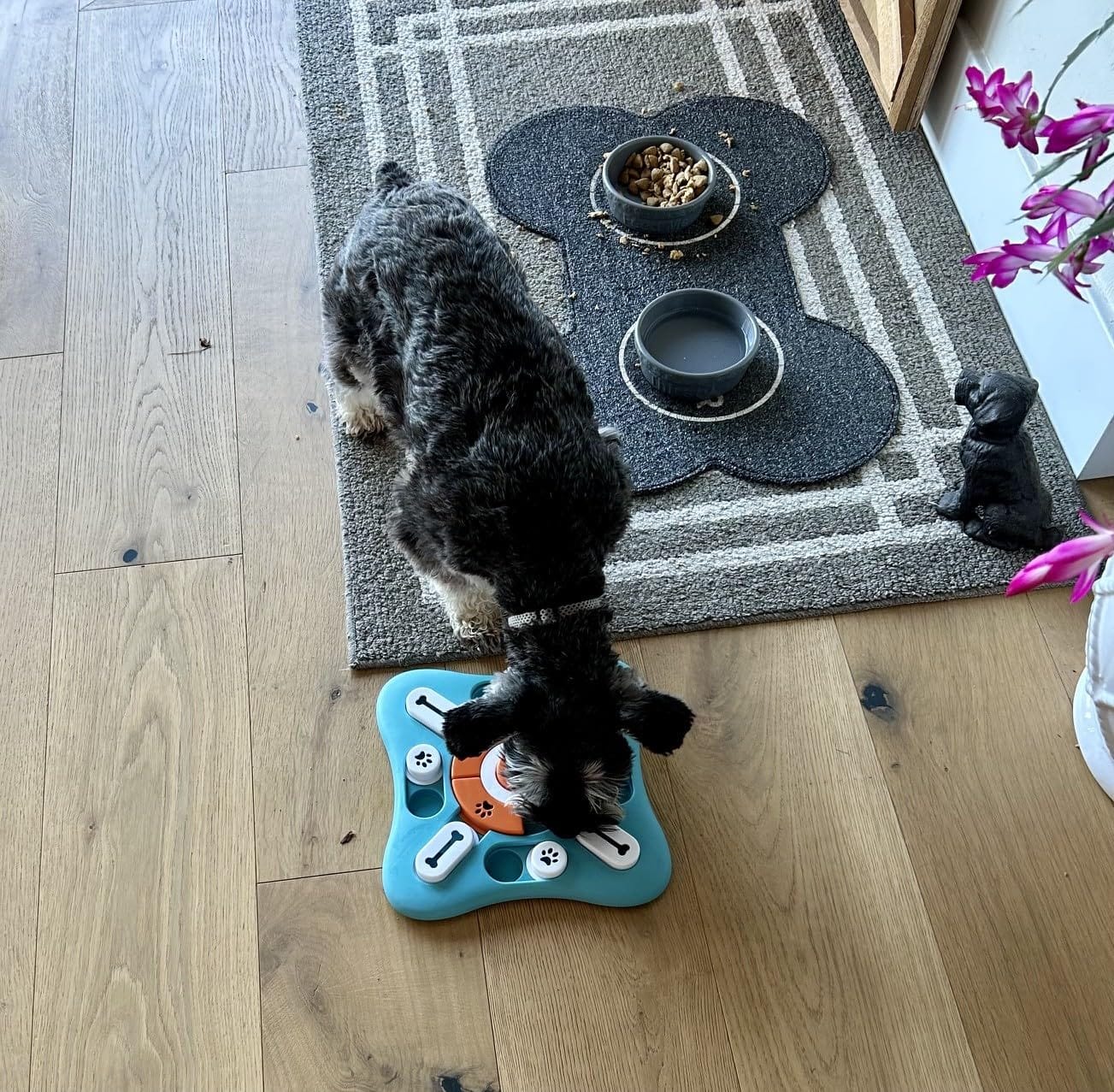 FOXMM Interactive Dog Treat Puzzle Toys for IQ Training & Mental Stimulating | Fun Slow Feeder, Large Medium Small Dogs Enrichment Toys with Squeak Design, Ideal Gifts for Puppies, Cats, Dogs customer photo 1
