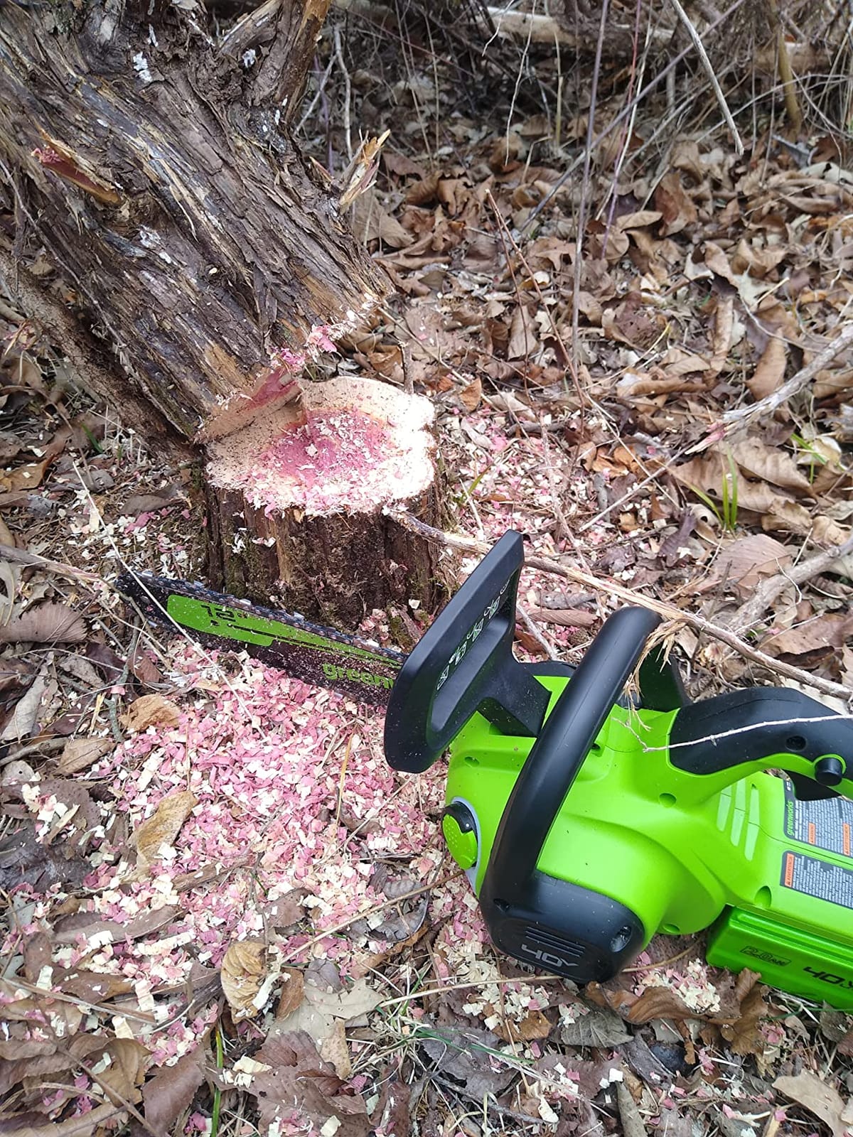 Greenworks 40V 12 in Cordless Electric Chainsaw, 2.0 Ah Battery and Charger customer photo 1