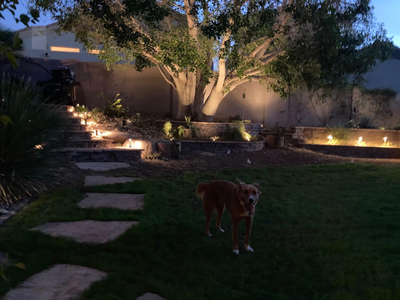 SUNVIE 6-Pack 12W 3000K LED Low Voltage Landscape Well Lights, Grated Top customer photo 1