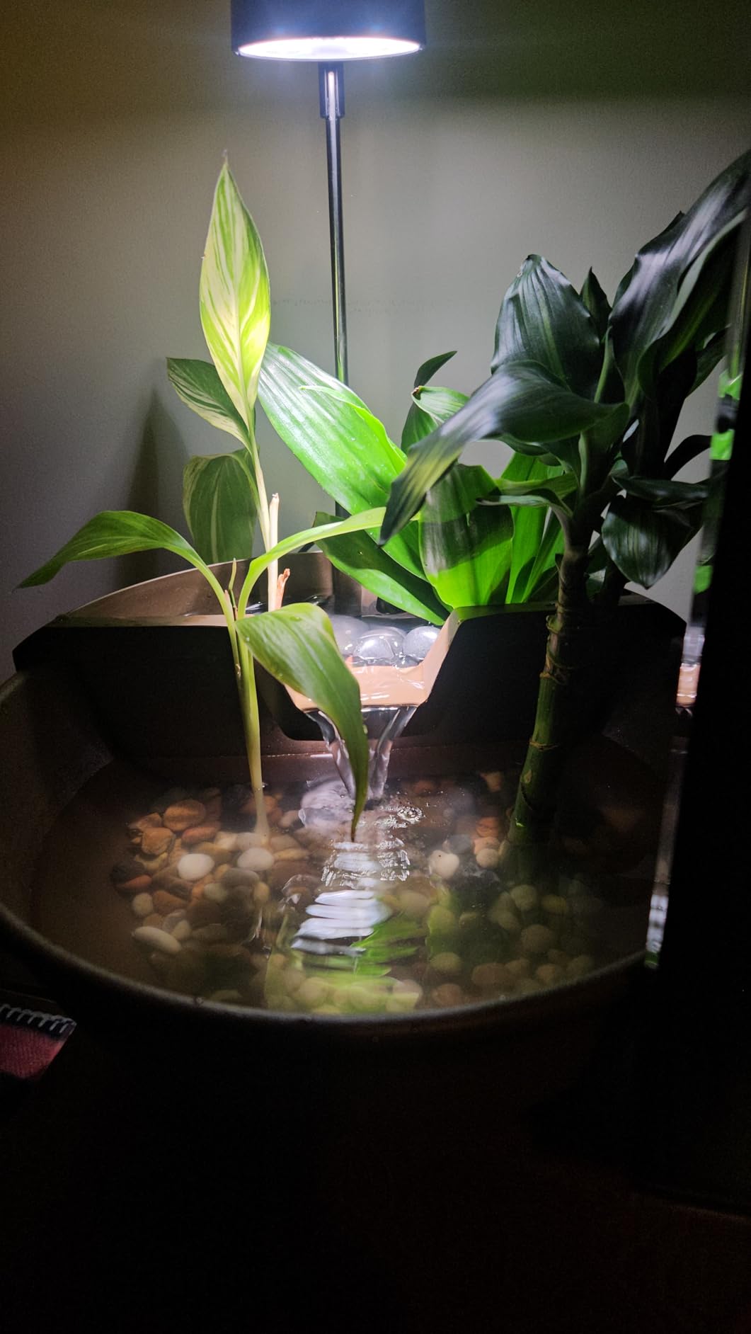 Aquascape AquaGarden Tabletop Fountain Kit (Mocha) customer photo 2
