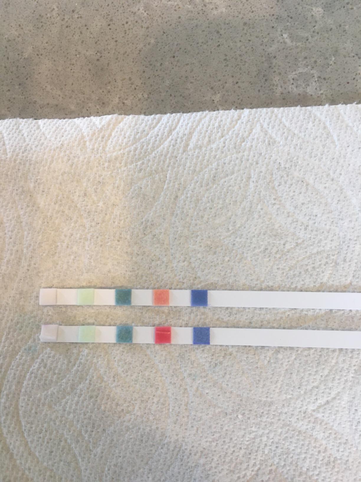 Poolmaster Smart Test 6-Way Swimming Pool and Spa Water Chemistry Test Strips, Made in The USA, 2 Pack customer photo 1