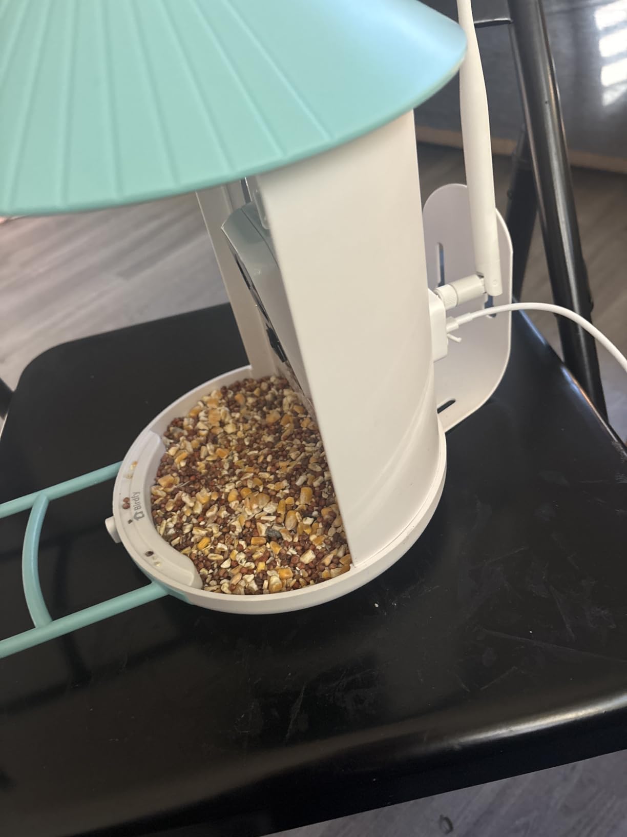 NETVUE by Birdfy Smart Bird Feeder with 2K HD AI Camera Solar Powered, Wireless Wildbird Watching, Live Stream&Color Night Vision, Auto-Capture & Notify, Free Cloud Storage(AI by Subscription) customer photo 2