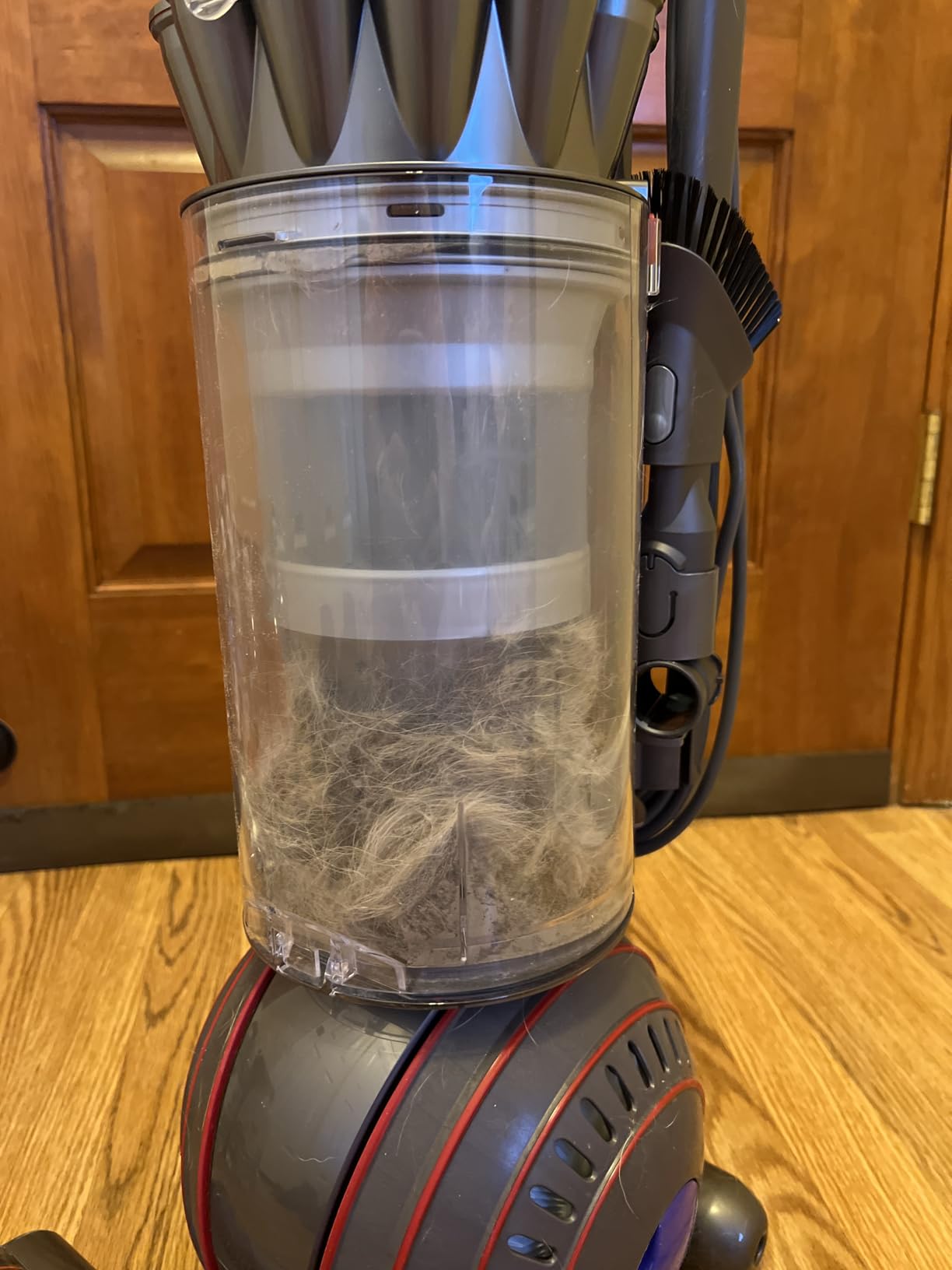 Dyson Ball Animal 3 Upright Vacuum, 290AW, De-tangling Motorbar customer photo 2
