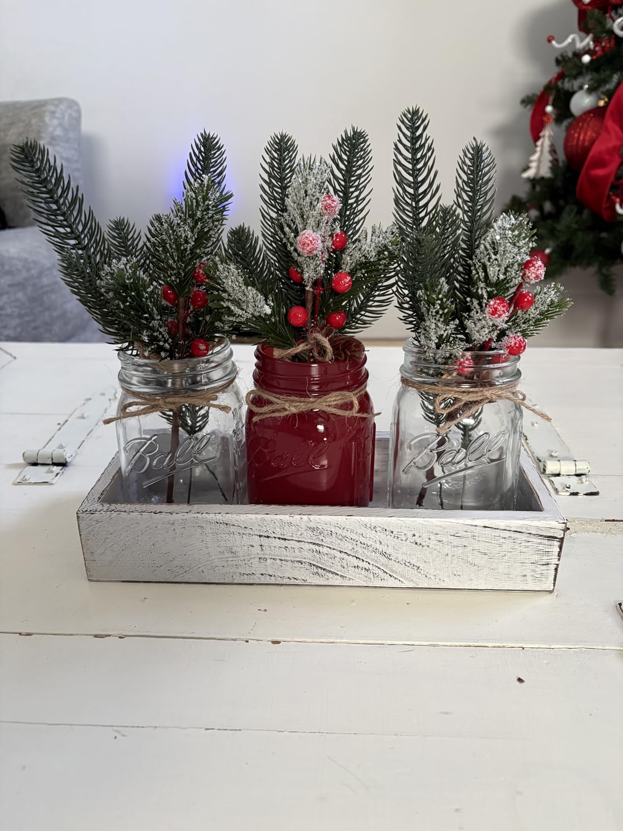 Winter Mason Jar Centerpiece for Table with LED Lights & Artificial Plants, Set of 3 Farmhouse Decorative Mason Jars for Christmas Home Decor customer photo 2
