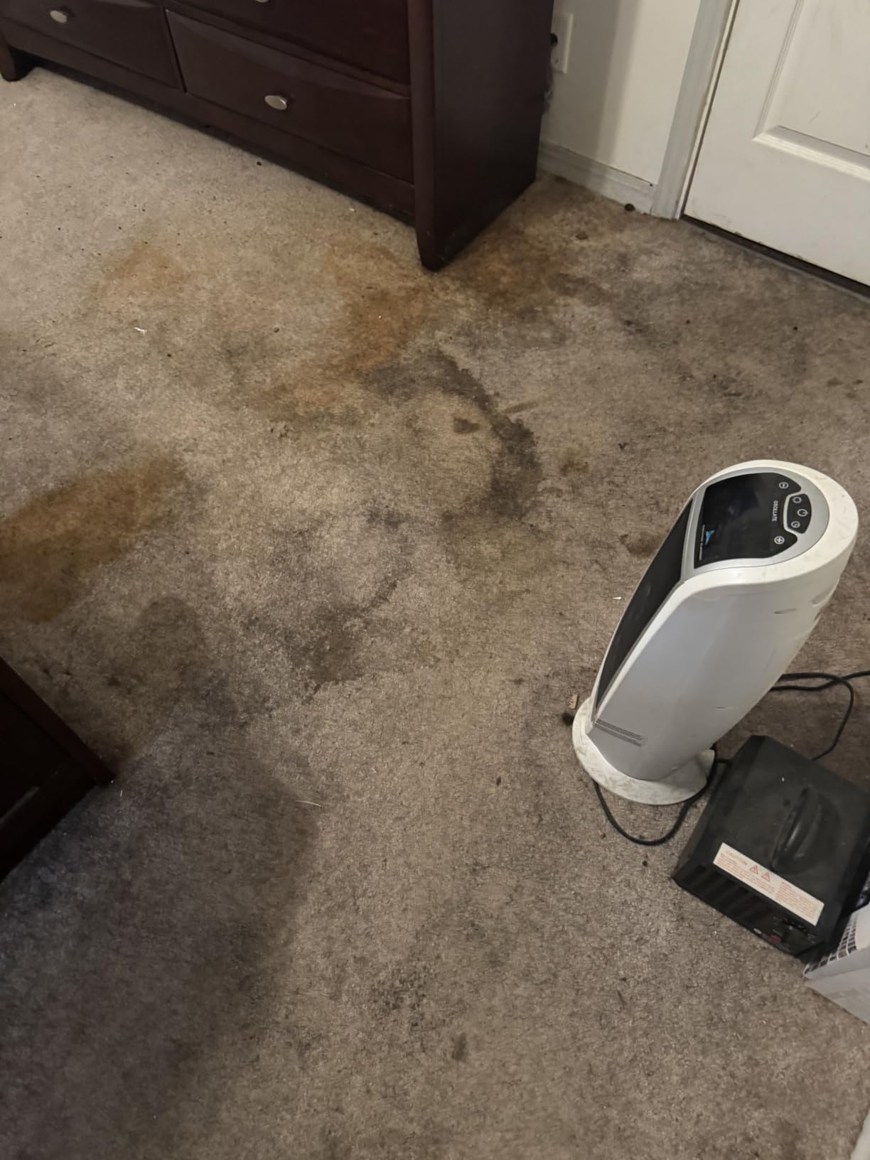 BISSELL ProHeat 2X Revolution Pet Pro Plus Carpet Cleaner, 3588F customer photo 2