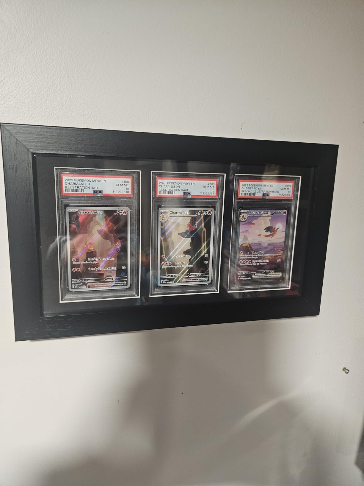 Bivitre Graded Card Display Frame - Compatible with PSA, CGC and TAG Slabs | Wall-Mount Trading Card Display Case for Sports Cards, Pokemon, and MTG customer photo 1