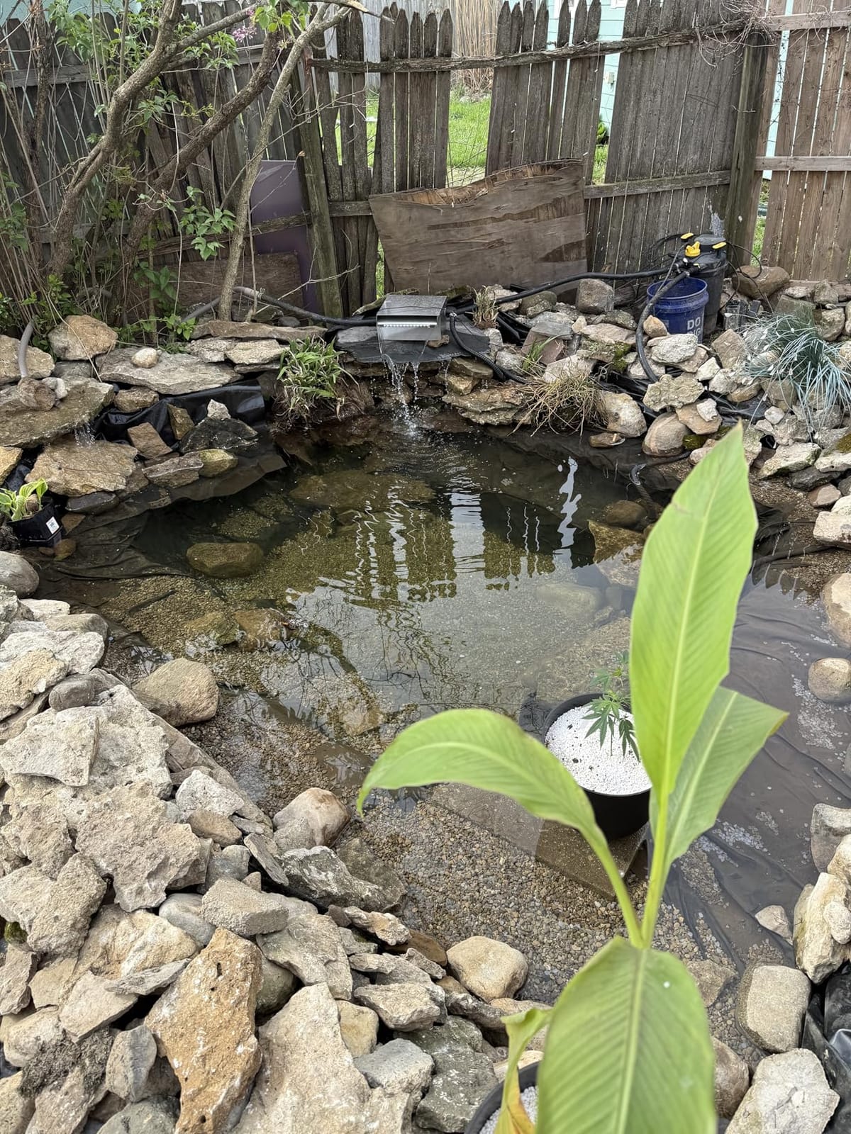 VIVOSUN 13.5 x 20 Feet Pond Liner for Koi Ponds, Aquaculture and Gardens | 14.5 Mil Durable LLDPE Pond Liners, Black customer photo 1