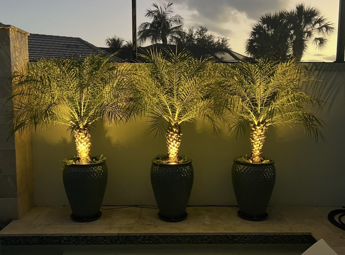 Solid Brass Landscape Lighting, 12V Heavy Duty Low Voltage Landscape Spotlights, LED Spot Lights for Outdoor Uplighting, Classic Bronze Accent Light Fixture Without MR16 Bulb, 12 Pack customer photo 2