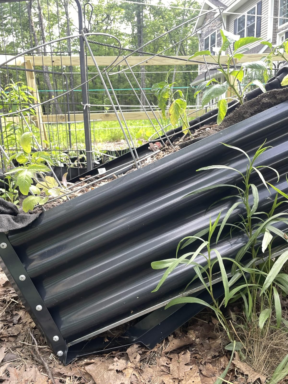 Land Guard Galvanized Raised Garden Bed with Legs, 48×24×32in Large Metal Elevated Raised Planter Box with Drainage Holes for Backyard, Patio, Balcony, 700lb Capacity customer photo 1