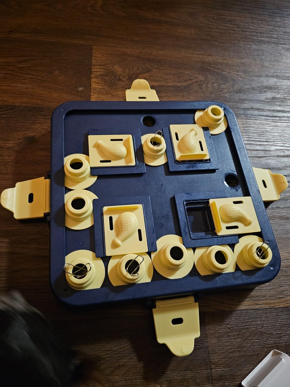 KADTC Dog Chess Puzzle Toy, 3-Levels, Mental Stimulation for Smart Dogs customer photo 1