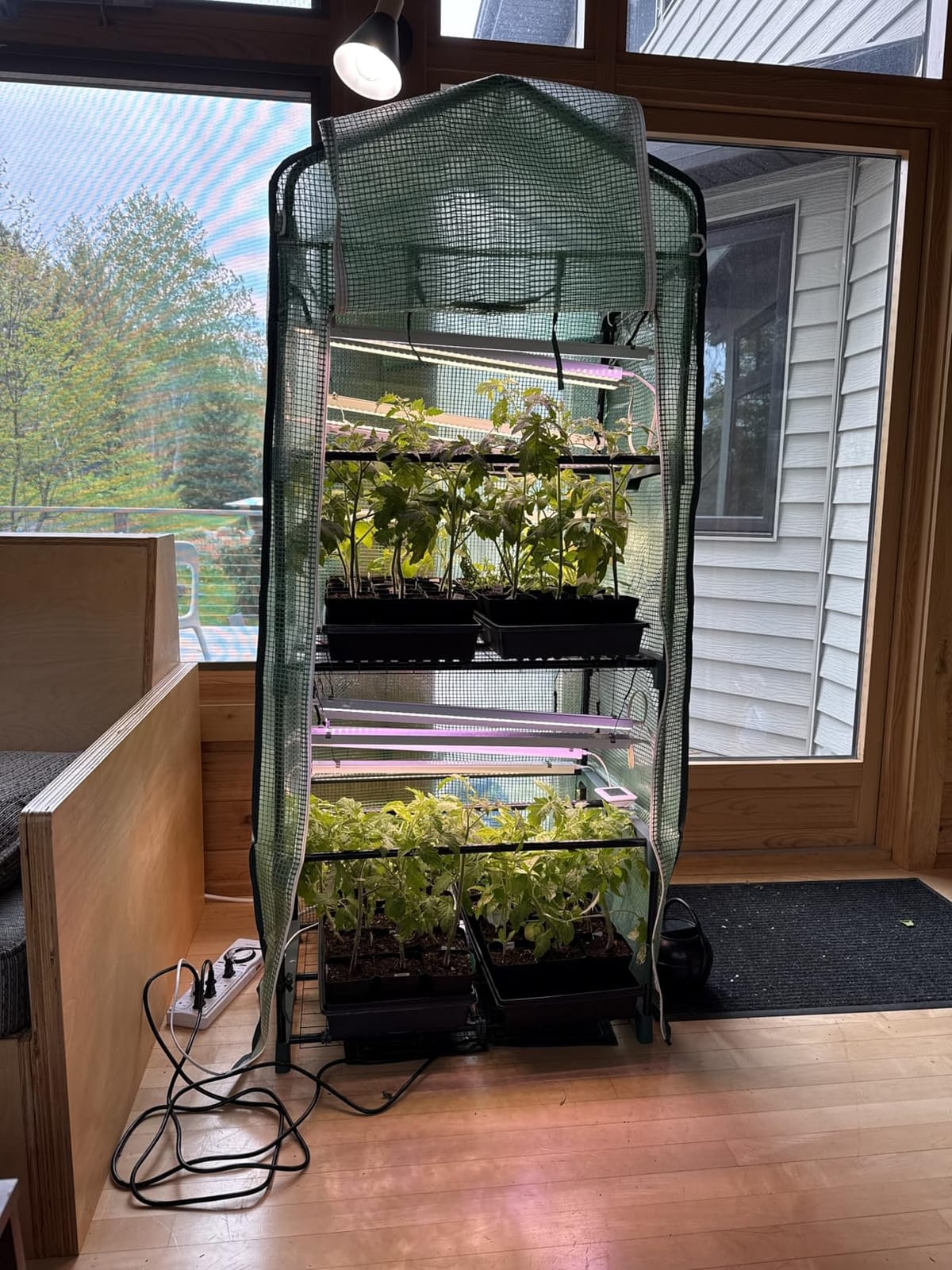 Mini Greenhouse for Outdoors Indoor: 27 x 19 x 62-Inch Ohuhu Small Green House with 4 Tier Shelves, Portable Plastic Greenhouses with Heavy Duty Transparent PVC Cover for Seedling Patio Porch Balcony customer photo 1