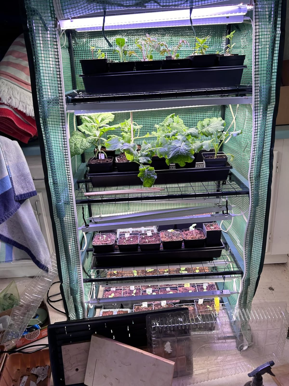 Mini Greenhouse for Outdoors Indoor: 27 x 19 x 62-Inch Ohuhu Small Green House with 4 Tier Shelves, Portable Plastic Greenhouses with Heavy Duty Transparent PVC Cover for Seedling Patio Porch Balcony customer photo 2