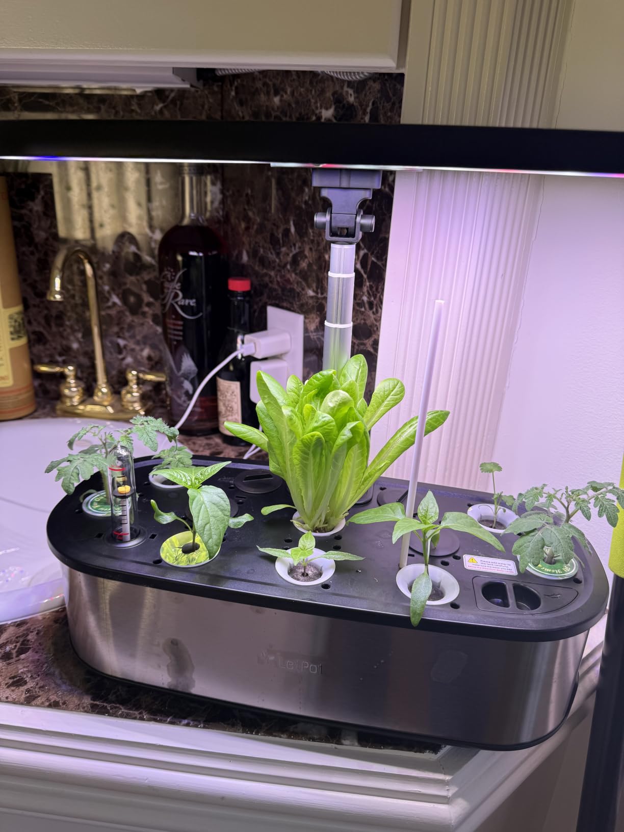 LETPOT LPH-SE Hydroponics Growing System, 12 Pods Smart Herb Garden Kit Indoor, Indoor Garden, APP & WiFi Controlled, with 24W Growing LED, 5.5L Water Tank, Pump System, Automatic Timer customer photo 2